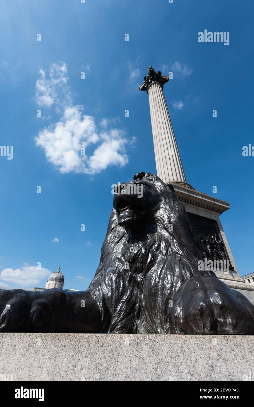 Colonna di Nelson e Landseer Lion, Trafalgar Square, Londra, Regno Unito Foto Stock