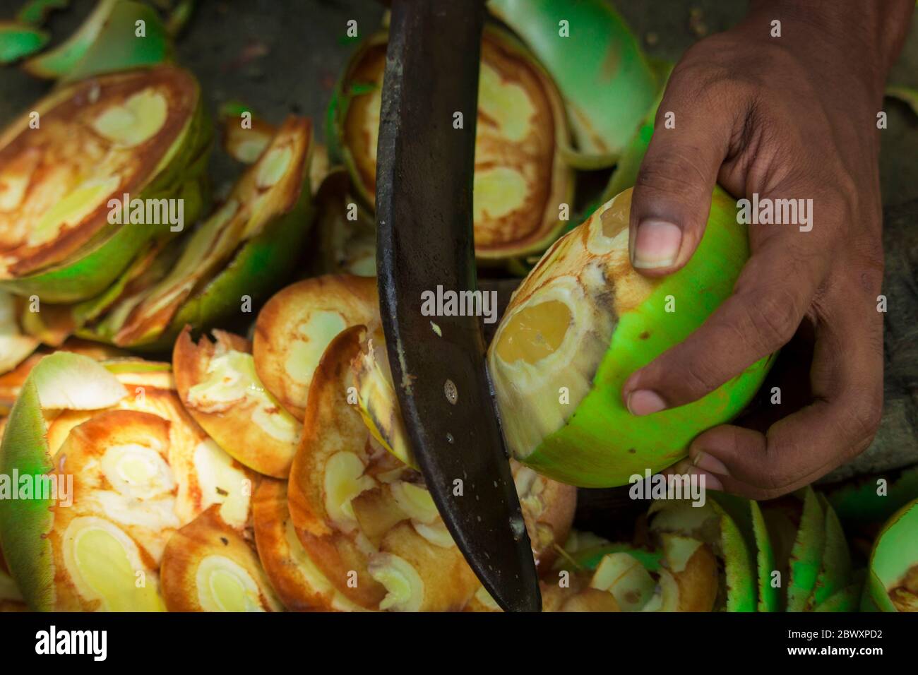 La scena quando la frutta di palma di zucchero è tagliata Foto Stock