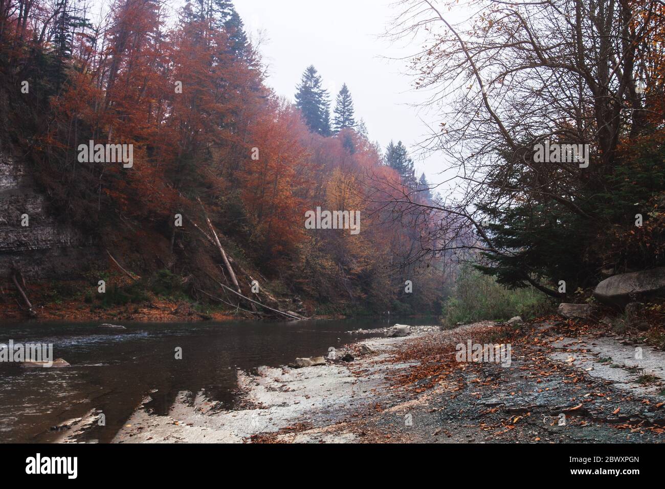 Fiume di montagna in autunno. Riva rocciosa. Foresta colorata Foto Stock