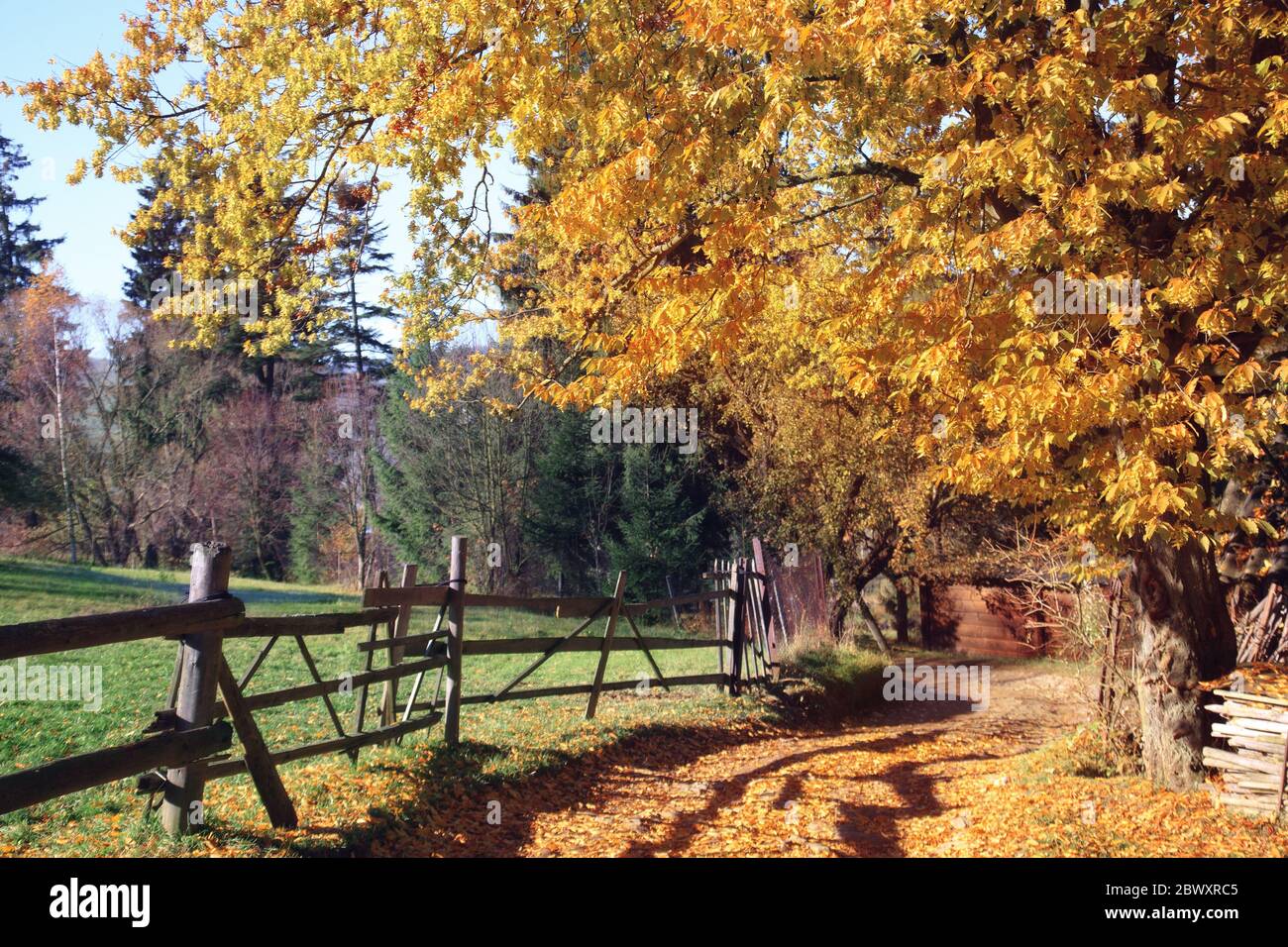 Vecchia casa nel bosco in una bella giornata di sole autunno. Foto Stock