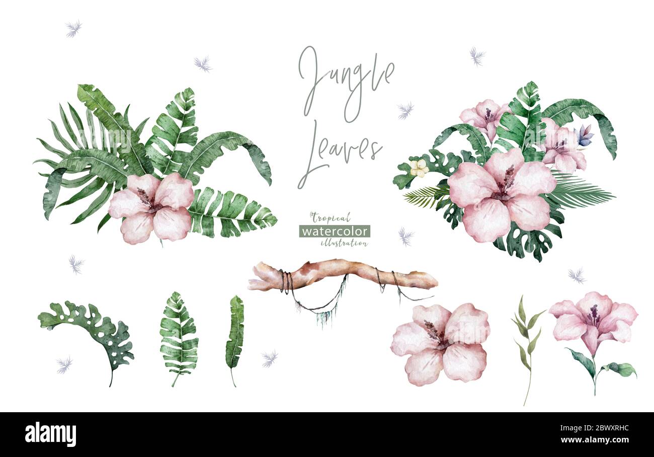 Corona di fiori rosa. Foglie tropicali con fiori di bellezza disegnata a mano illustrazione acquerello su sfondo bianco. Elemento di progettazione Foto Stock