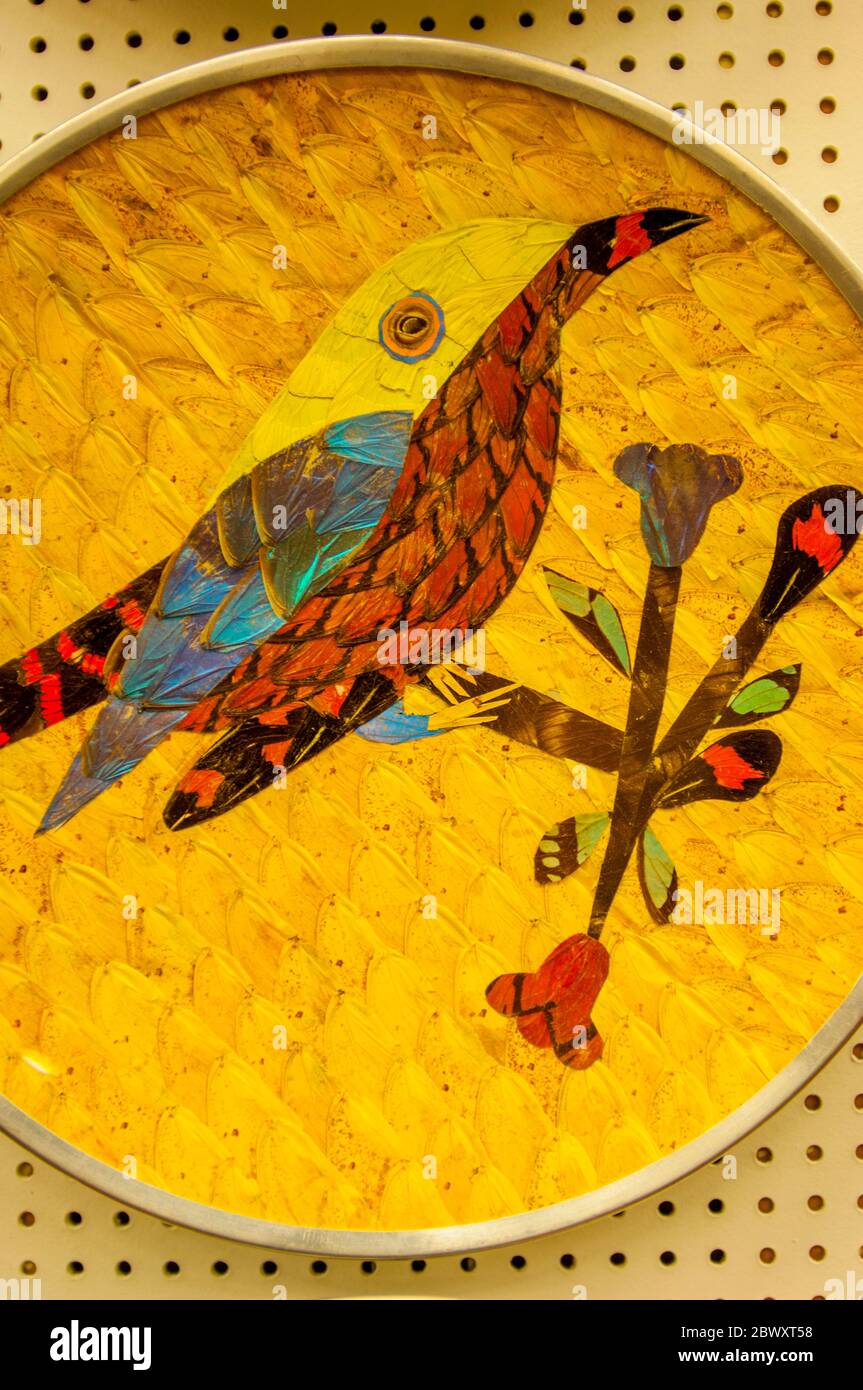 Decorazioni realizzate con farfalle vendute in un negozio di souvenir alle cascate di Iguassu, sul lato argentino del Parco Nazionale di Iguassu. Foto Stock