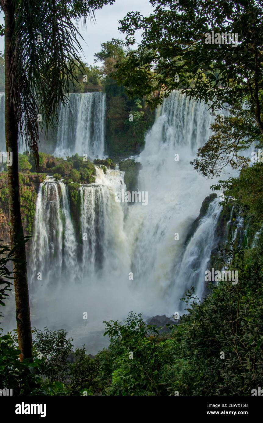 Vista delle Cascate Bossetti, una delle cascate di Iguassu sul lato argentino del Parco Nazionale di Iguassu. Foto Stock