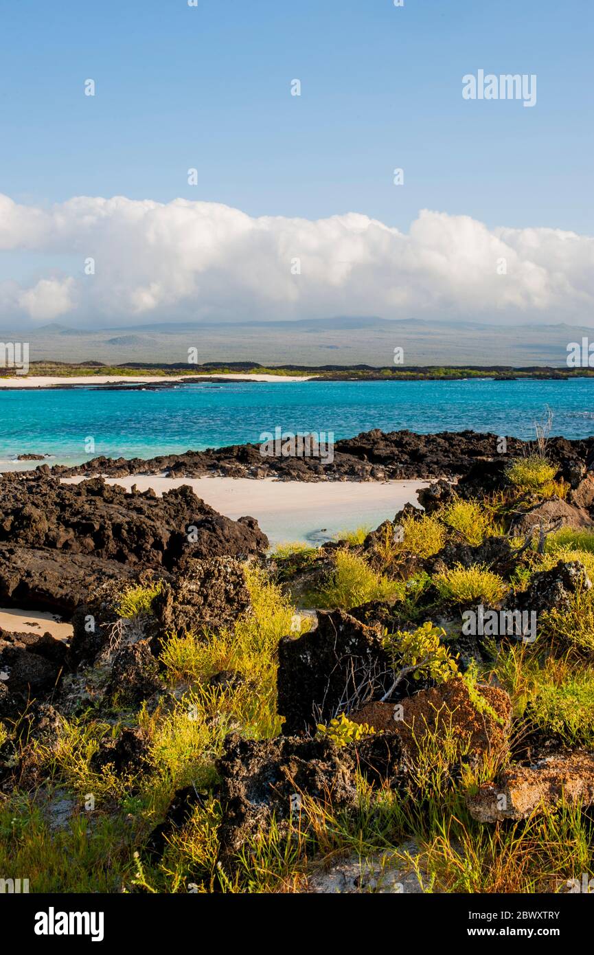 Cerro Brujo spiaggia sull'isola di San Cristobal (Isla San Cristobal) o Chatham Island, Galapagos Islands, Ecuador. Foto Stock