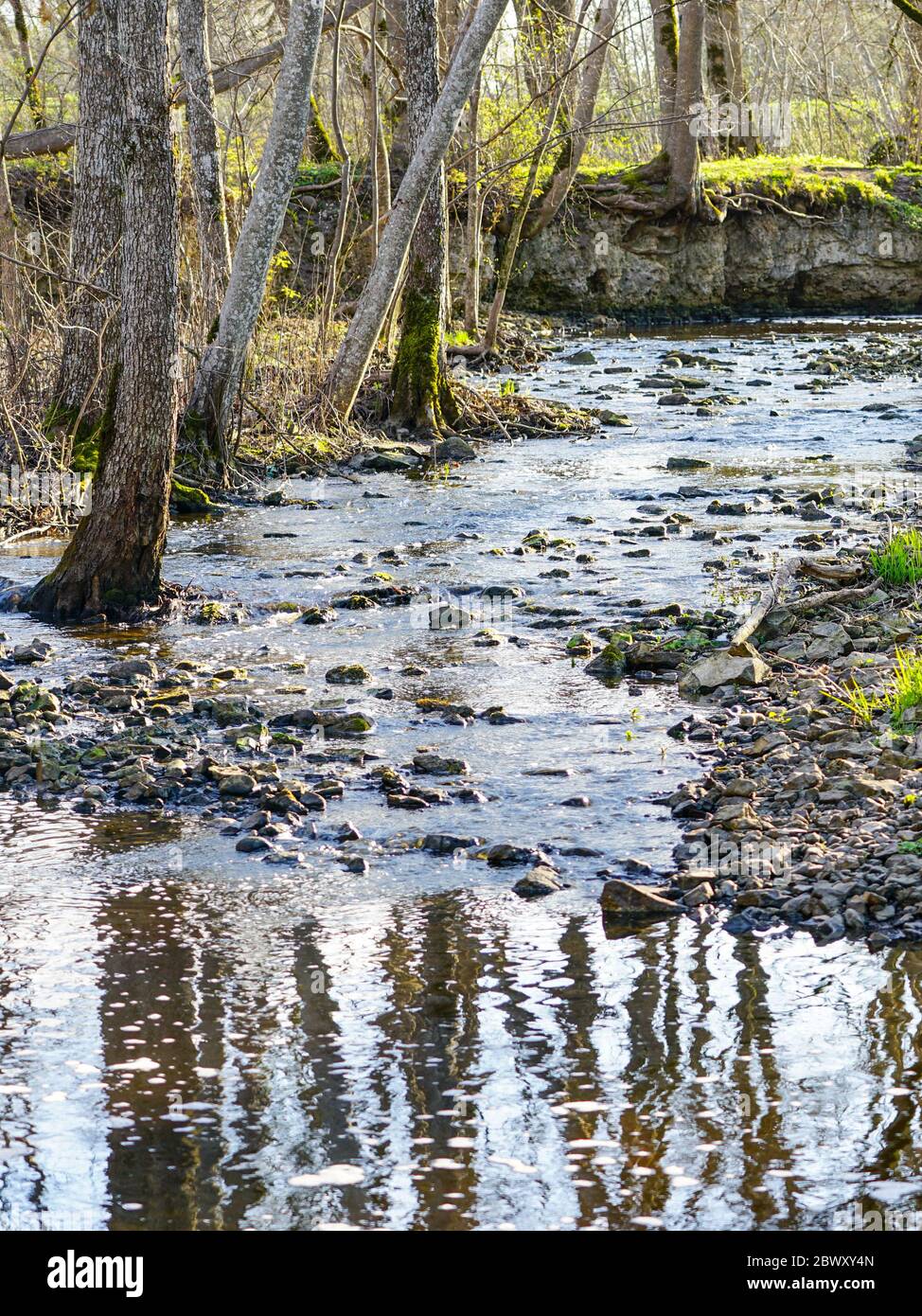 un piccolo fiume roccioso in una zona rurale in primavera Foto Stock