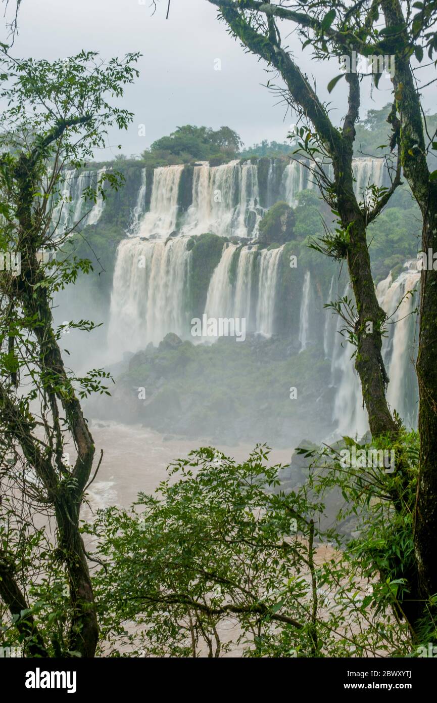 Vista delle cascate di San Martin e Bossetti, cascate delle cascate di Iguassu sul lato argentino del Parco Nazionale di Iguassu. Foto Stock