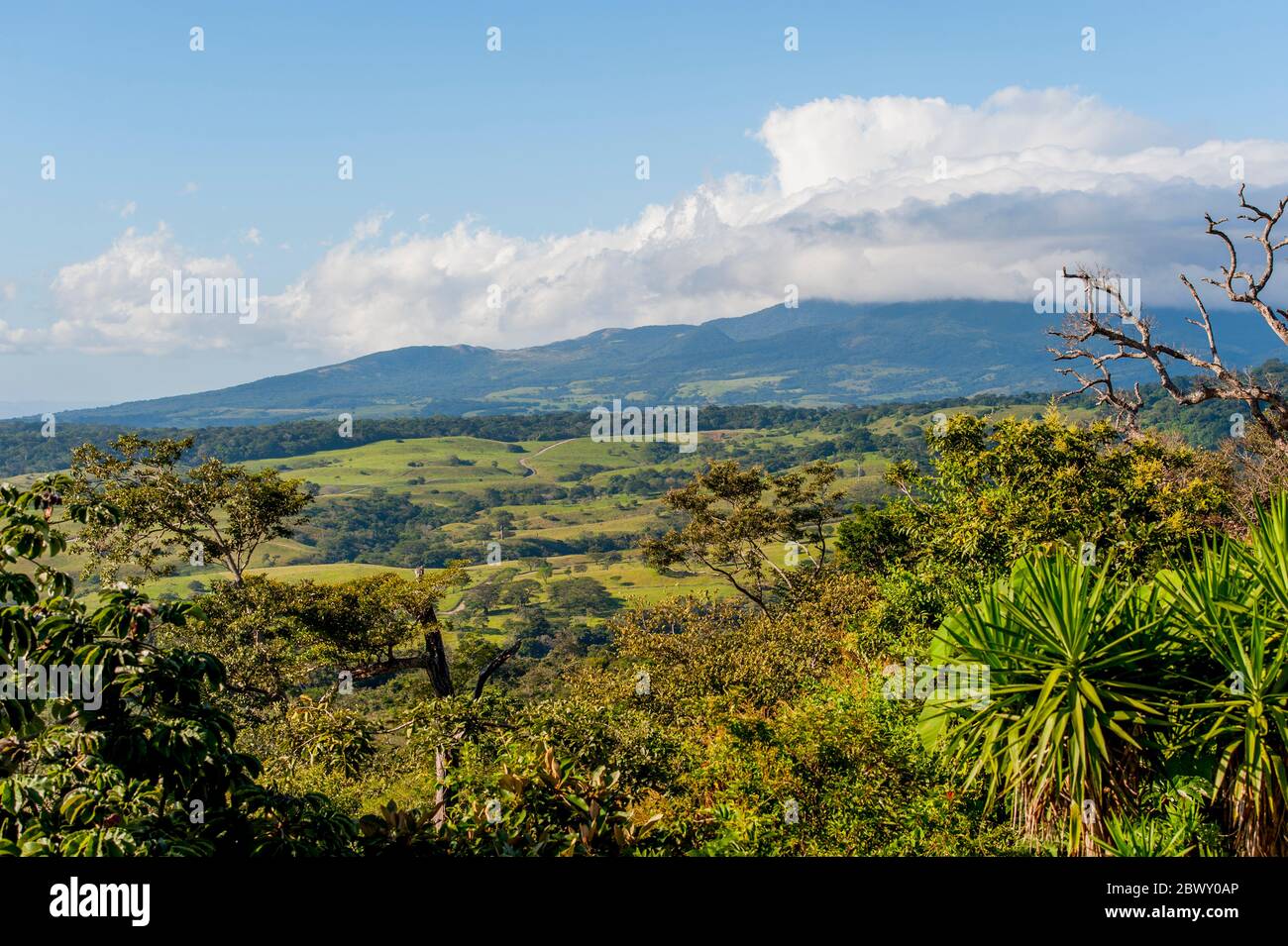 Vista del ranch dal Bueno Vista Lodge nella zona Rincon de la Vieja del nord-ovest della Costa Rica. Foto Stock