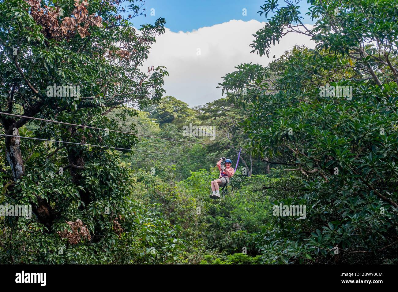 Zip-lining turistico attraverso il baldacchino della foresta pluviale nella zona Rincon de la Vieja del nord-ovest della Costa Rica. Foto Stock