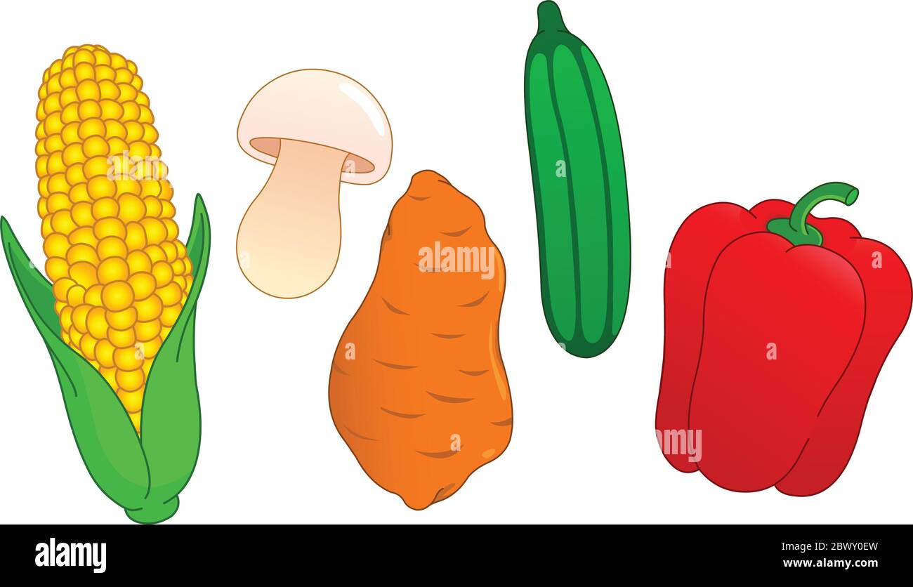 Set di verdure: Mais, funghi, patate dolci, cetrioli e pepe Illustrazione Vettoriale
