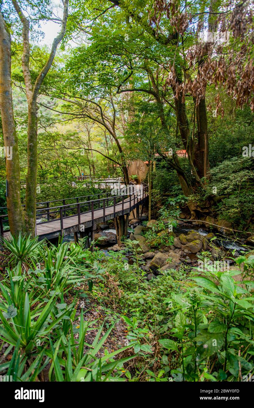 Una passeggiata lungo la foresta pluviale presso le sorgenti termali nella zona di Rincon de la Vieja, nella Costa Rica nord-occidentale. Foto Stock