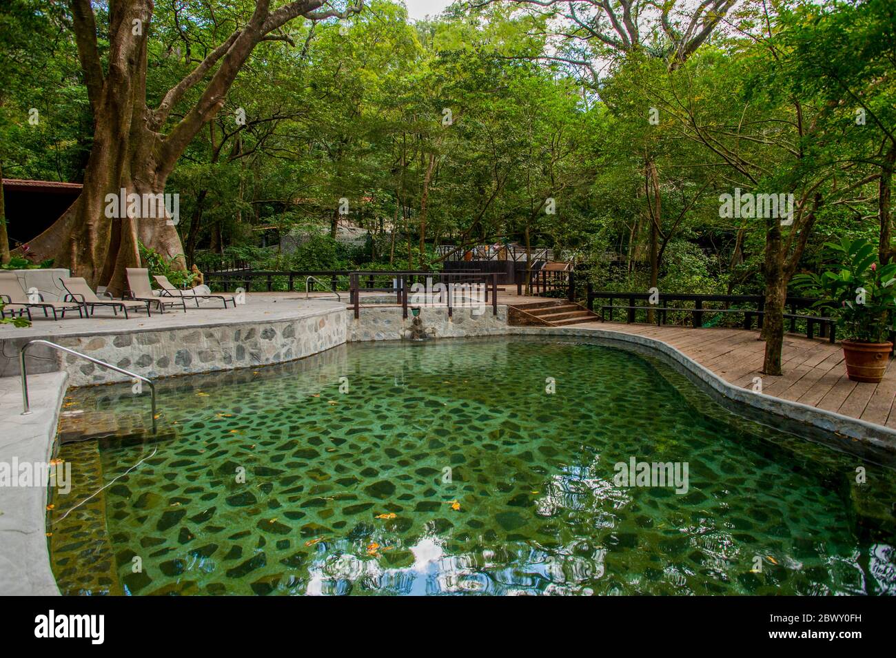 Una piscina nella foresta pluviale presso le sorgenti termali nella zona di Rincon de la Vieja, nella Costa Rica nord-occidentale. Foto Stock