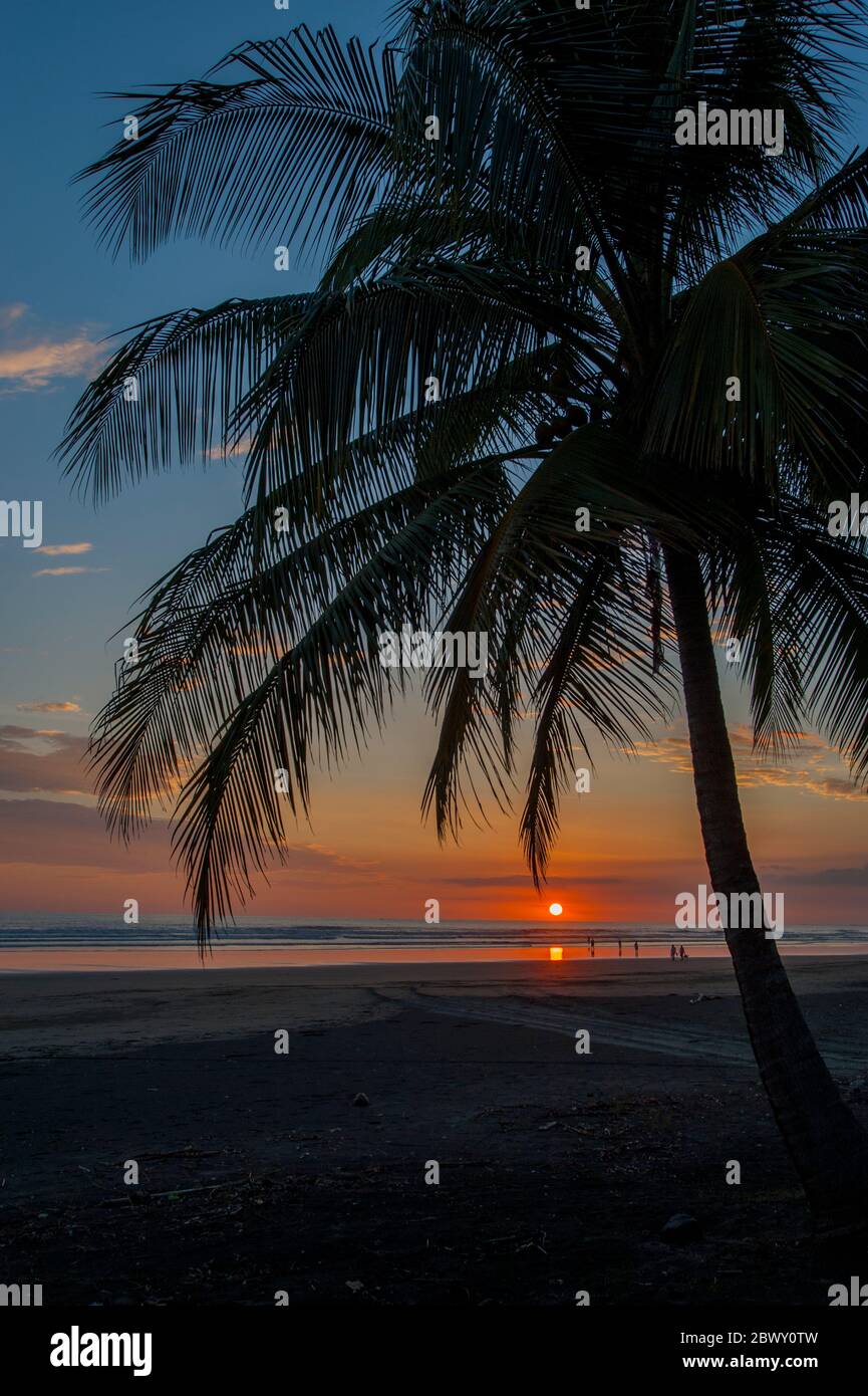 Tramonto sull'Oceano Pacifico con palme da cocco dalle linee silhouette su una spiaggia all'Hotel Monterey del Mar vicino a Jaco in Costa Rica. Foto Stock