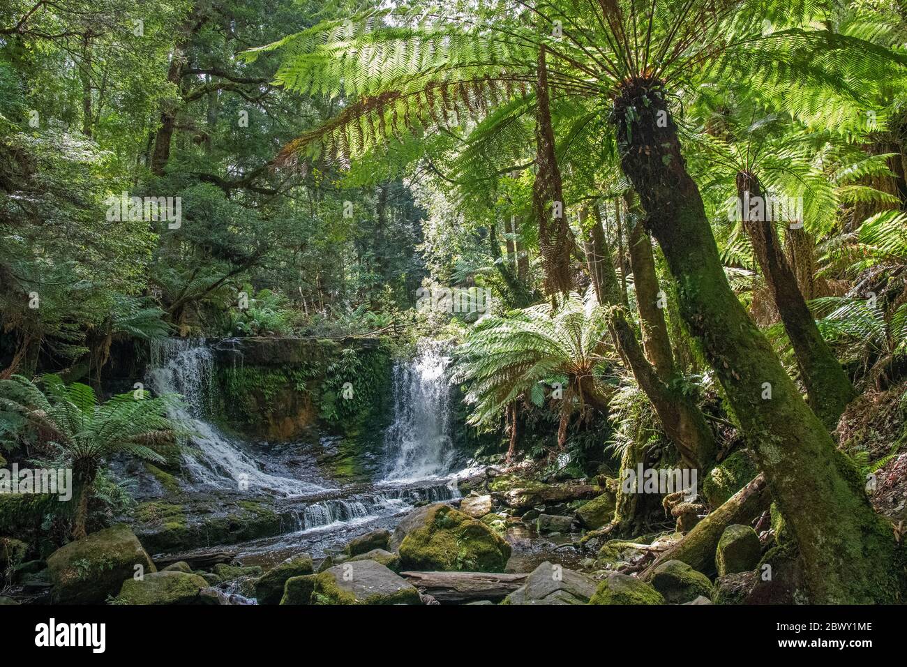Horseshoe Falls tre cascate pista Mount Field National Park Tasmania Australia Foto Stock