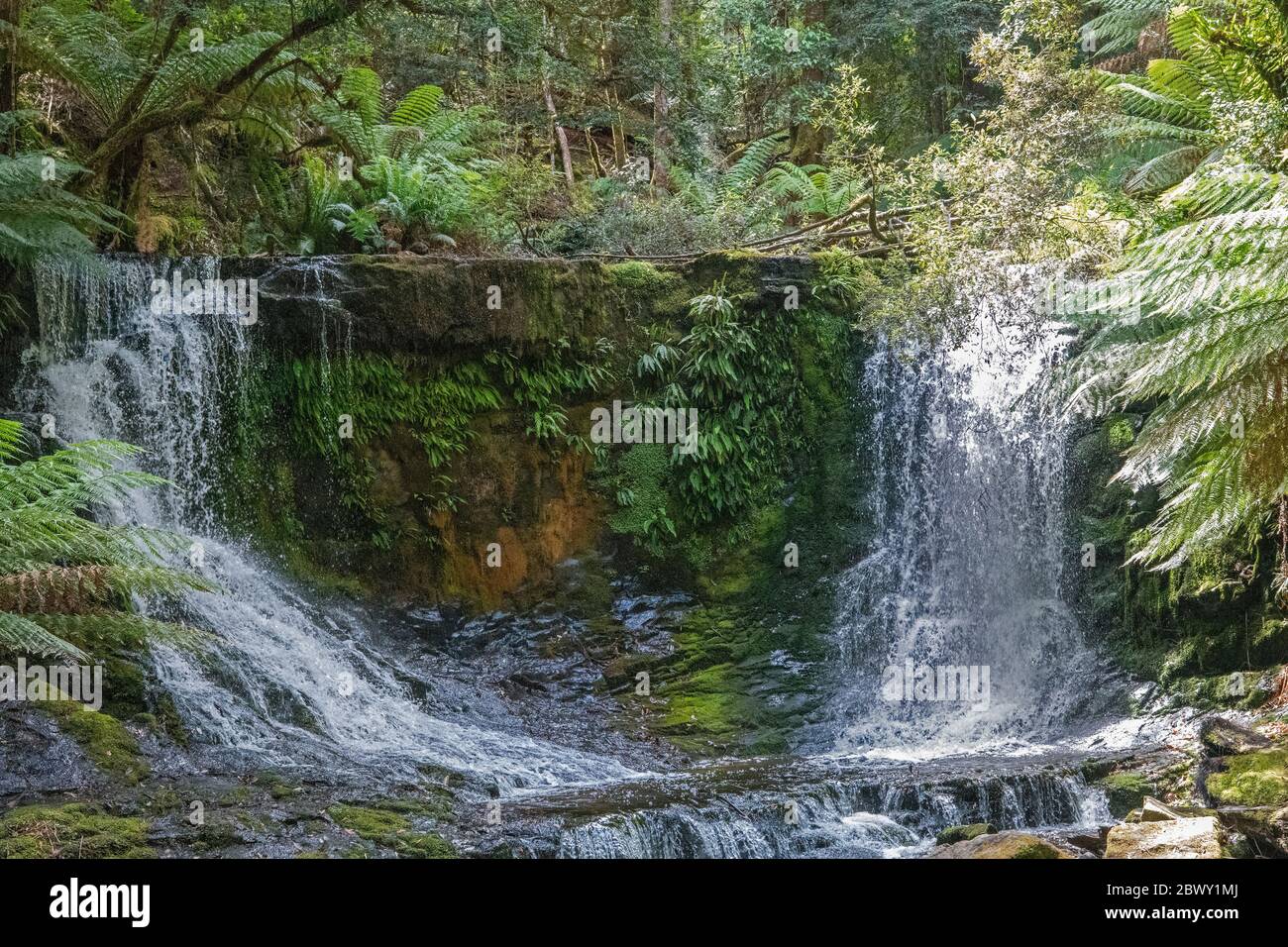 Horseshoe Falls tre cascate pista Mount Field National Park Tasmania Australia Foto Stock