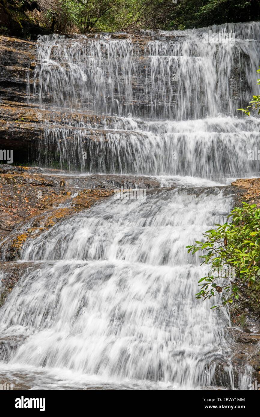 Lady Barron Falls Mount Field National Park Tasmania Australia Foto Stock