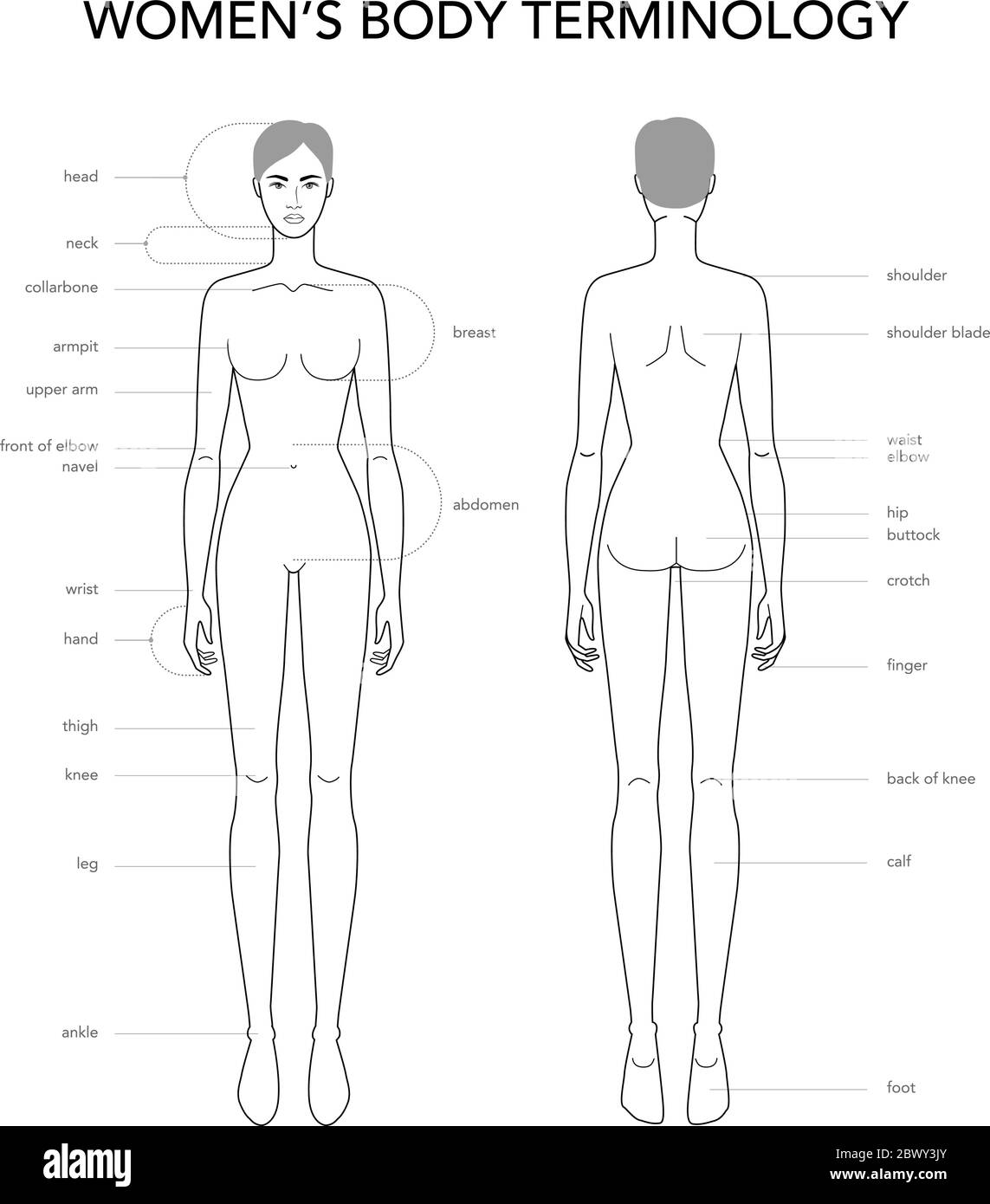 Corpo di donna terminologia. 9 dimensioni di testa per il disegno tecnico con le linee principali. Signora figura vista anteriore e posteriore. Profilo di vettore ragazza per schizzo di moda e illustrazione. Illustrazione Vettoriale