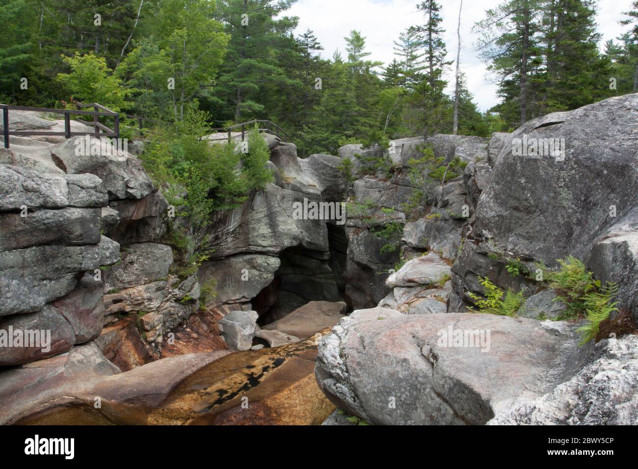 Grafton Notch state Park, Maine Foto Stock