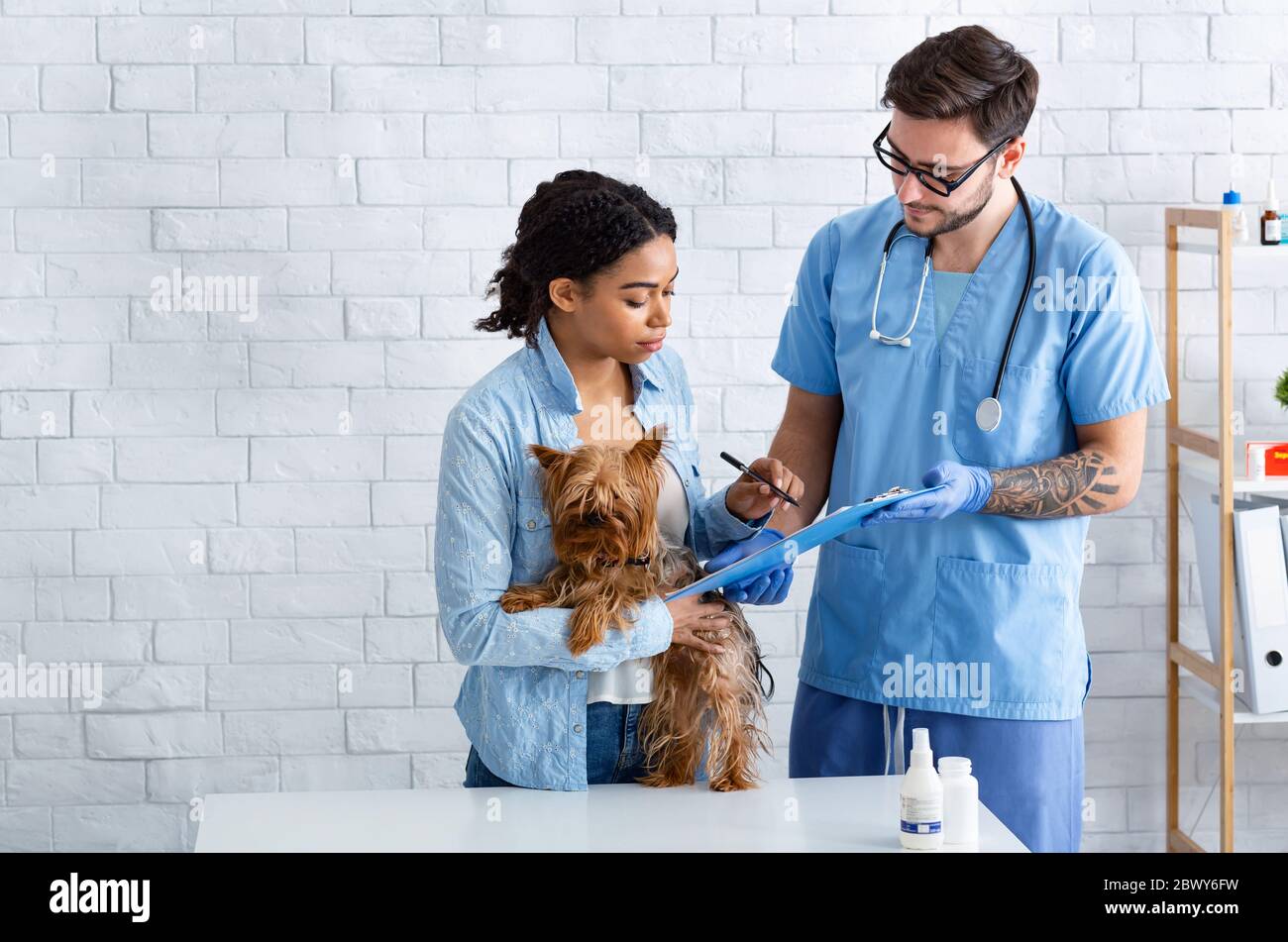 Proprietario del cane in visita al medico veterinario presso l'ospedale animale, spazio vuoto Foto Stock