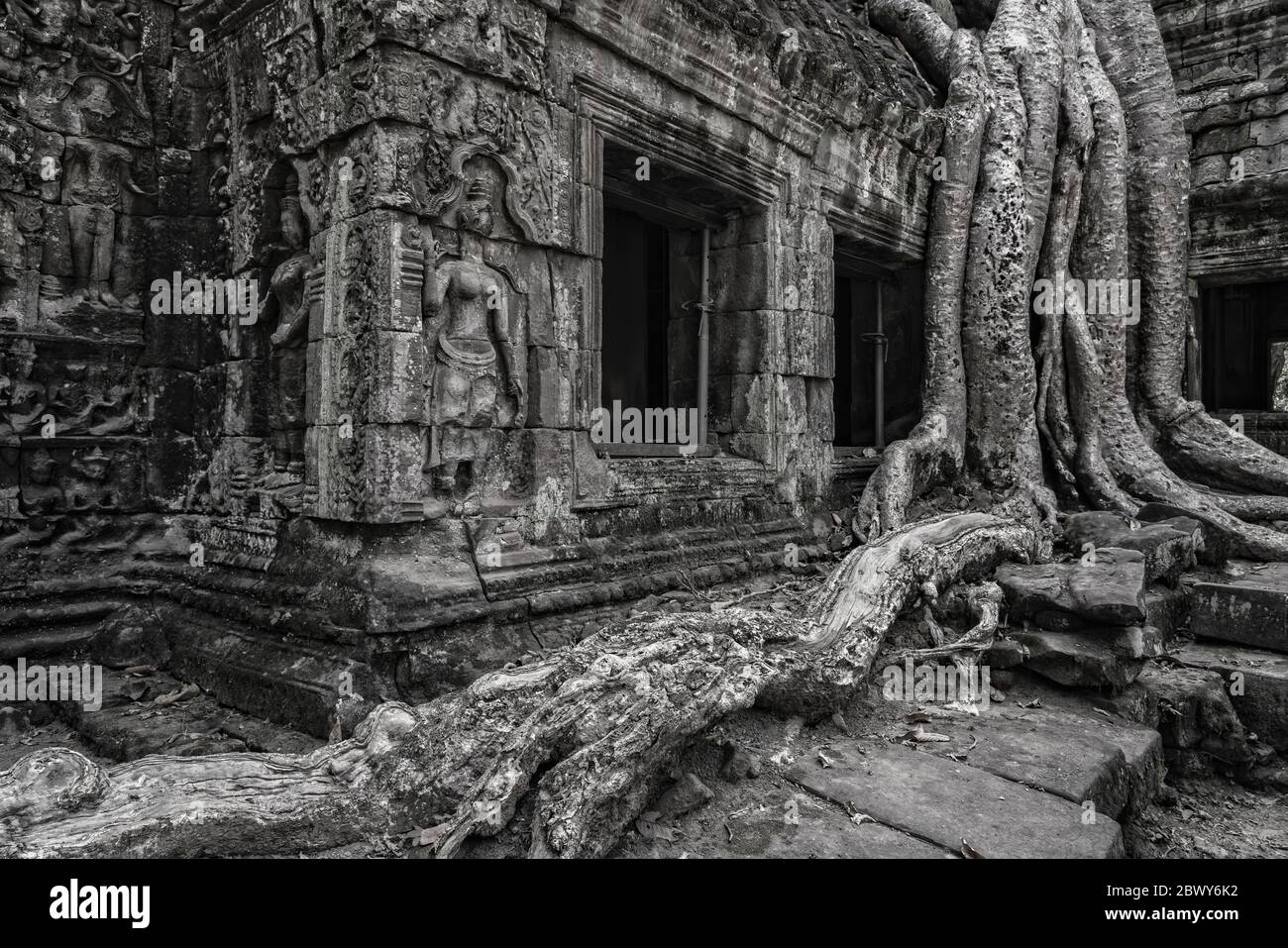 Immagine in bianco e nero a Ta Prohm e fico strangler vicino Siem Reap, Cambogia. Foto Stock