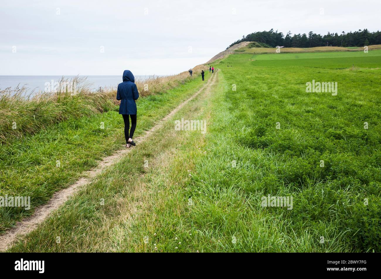 Persone che camminano lungo il sentiero per Ebeys Bluff, Ebey's Landing, Washington, USA. Foto Stock