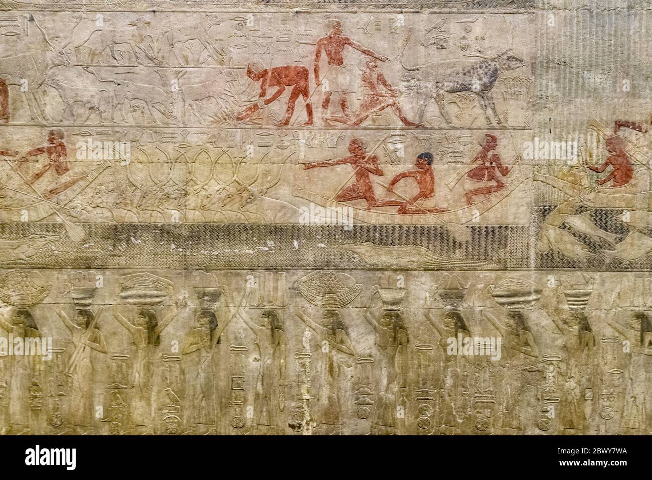 Egli parete Nord della cappella della Mastaba di Ty è dedicato alla sfilata dei domini e l'attraversamento di un guado da parte di un gregge di nove bovini Foto Stock
