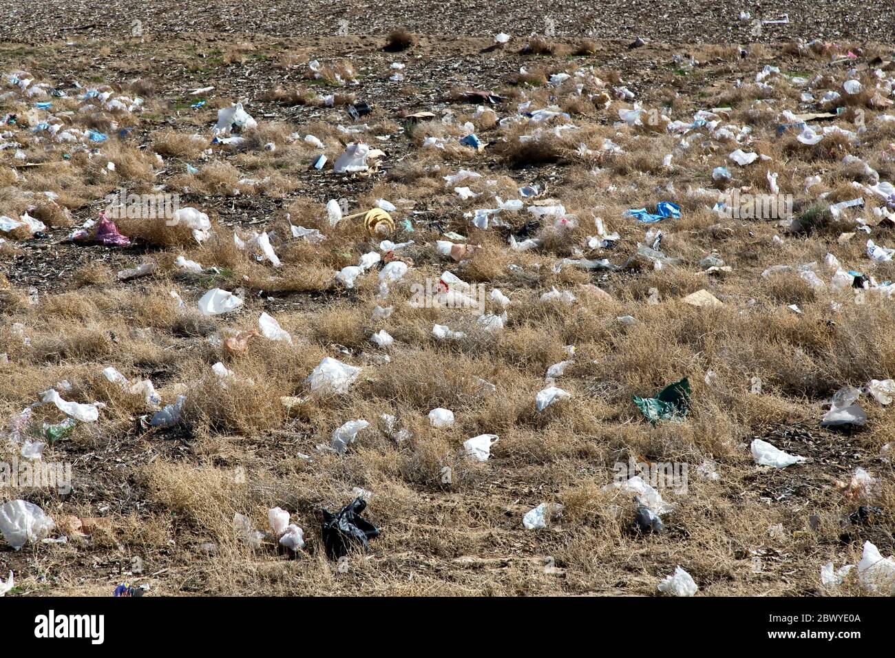 Sacchetti di plastica scartati sparsi lungo l'autostrada pubblica. Foto Stock