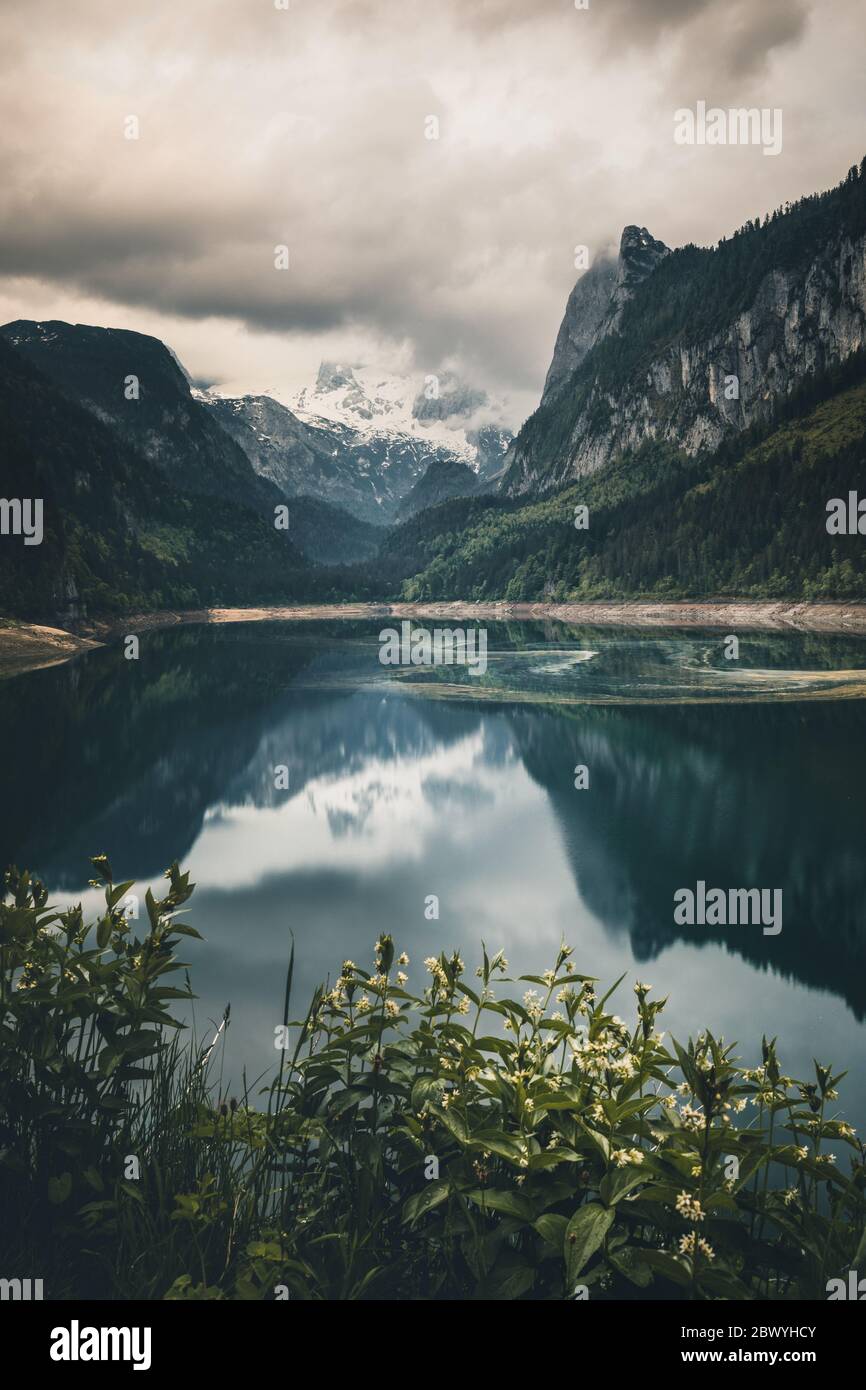 Misty mattina estiva sul lago Vorderer Gosausee. L'alba colorata nelle Alpi austriache, nella regione turistica di Salzkammergut nella Valle di Gosau, nell'alta Austria Foto Stock