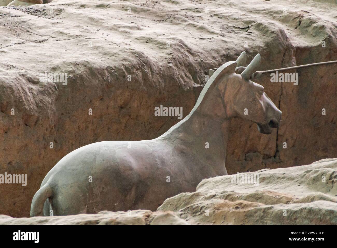 Xian, Cina - 1 maggio 2010: Museo e sala dell'Esercito di terracotta. Antica scultura di cavallo grigio-beige allo scavo. Foto Stock