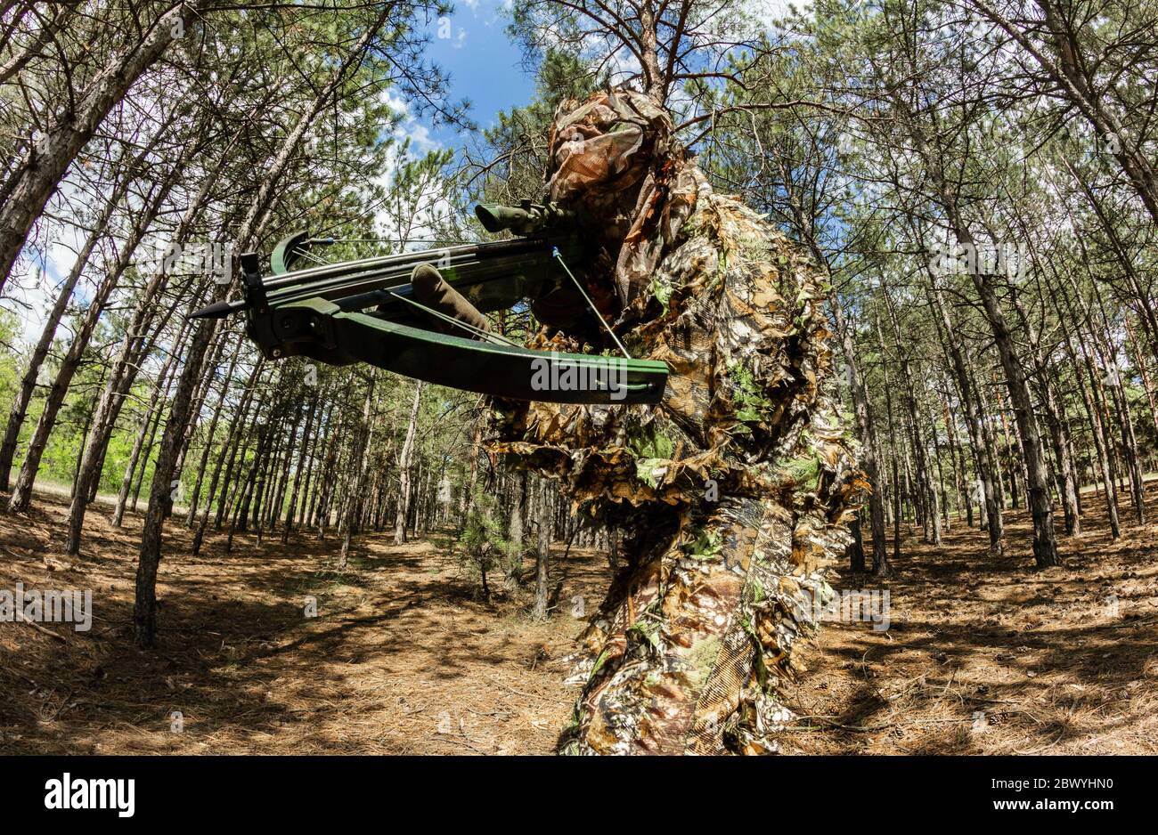 Foto di un cacciatore di cecchini mimetizzato con balestra in posizione in legno vista laterale. Foto Stock