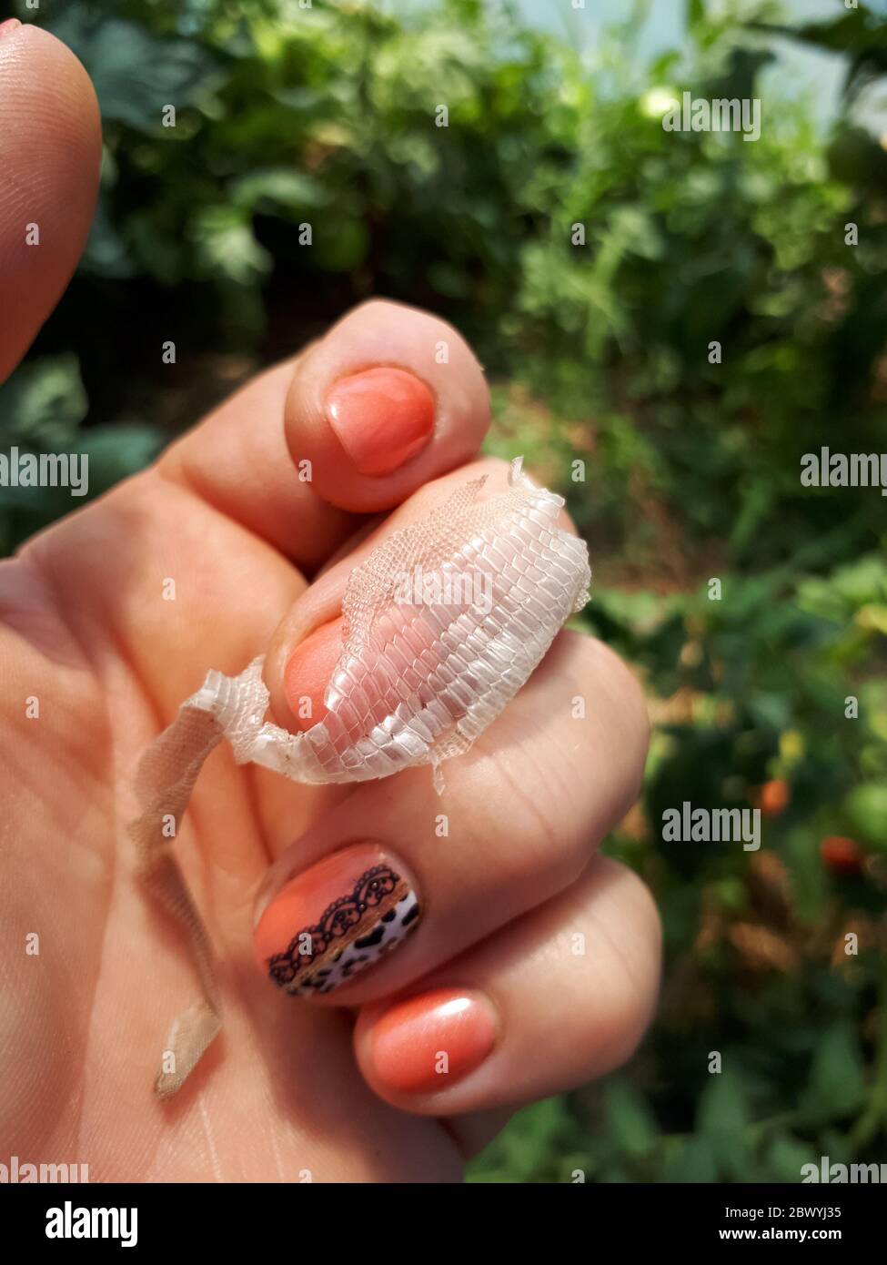 Pelle di serpente che rimane dopo la molting. La pelle di un serpente nelle mani di una donna. Foto Stock