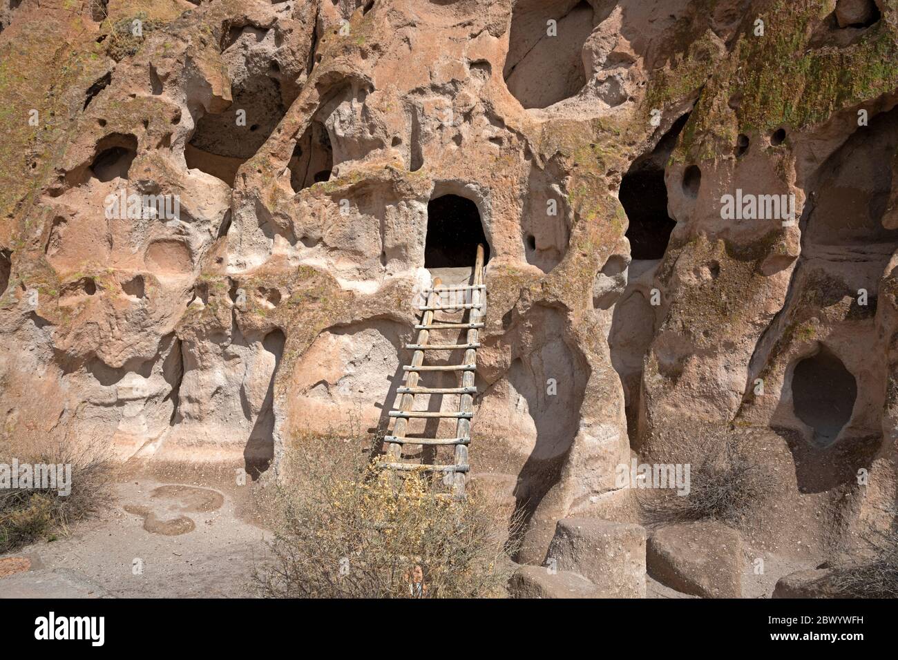 NM00479-00...NUOVO MESSICO - Scala rustica per i visitatori del parco che vogliono guardare in una dimora di scogliera al Monumento Nazionale di Bandelier. Foto Stock