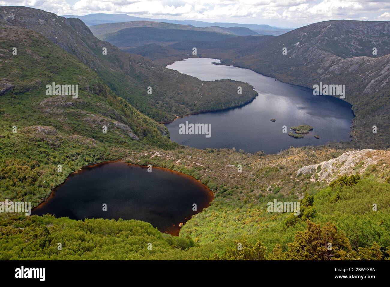 Lago Wilks e lago dove nel Cradle Mountain-Lake St Clair National Park Foto Stock