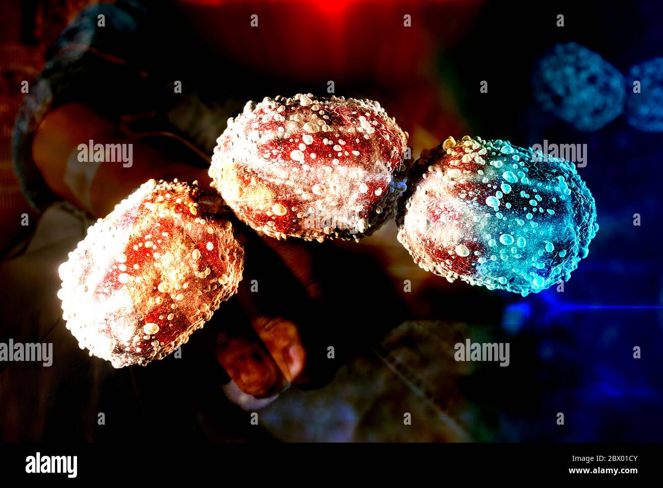 Batteri concetto di coccobacillus batterio batteri colorati Foto Stock