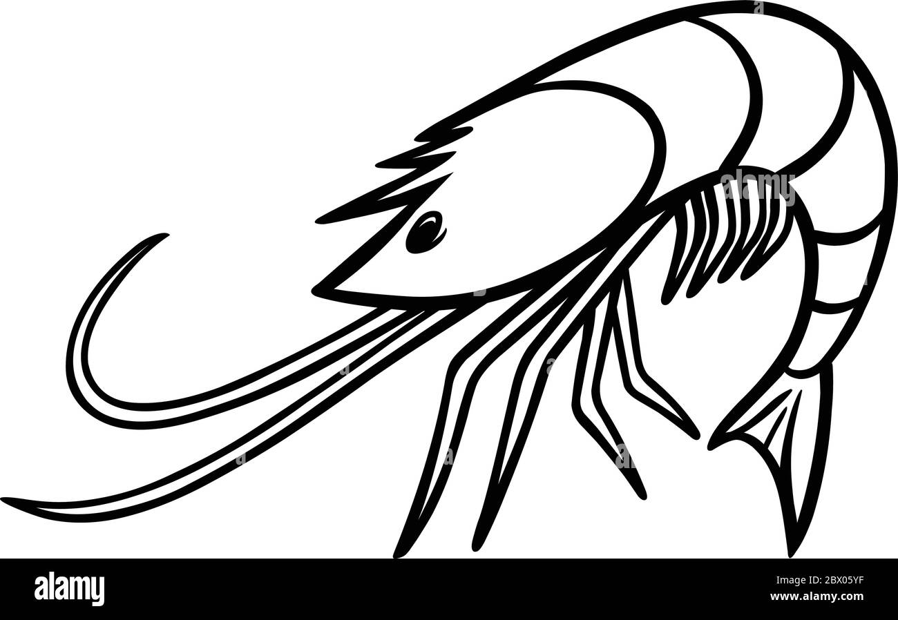 Icona del caffè di gamberi - un'illustrazione del cartone animato di un'icona del caffè di gamberi. Illustrazione Vettoriale