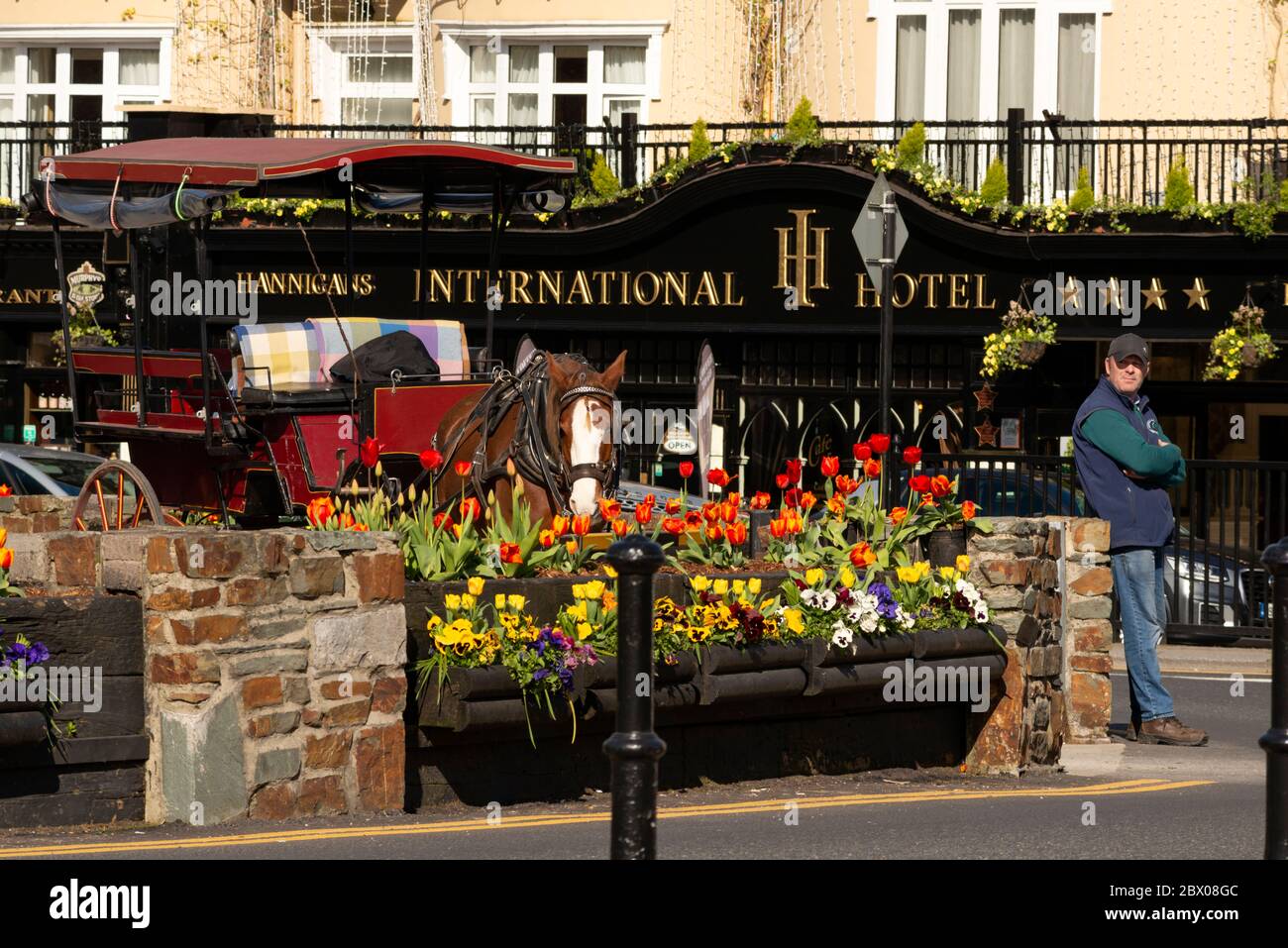 Jarveys aspetta i clienti di fronte all'International Hotel nel centro di Killarney a Killarney, Contea di Kerry, Irlanda Foto Stock