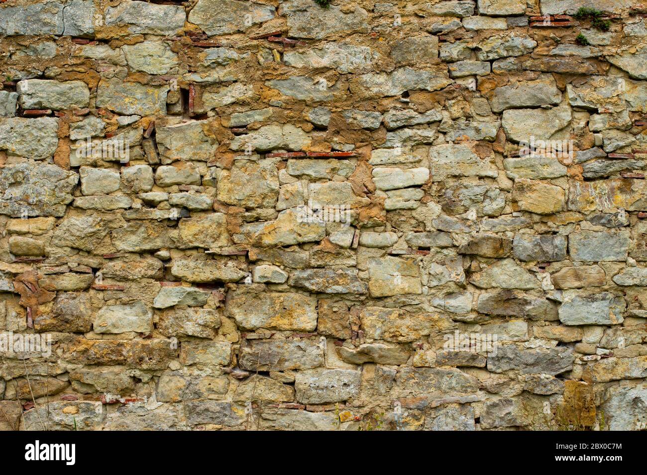 Vecchio muro di pietra naturale con piante e muschio che crescono dallo sfondo crepe Foto Stock