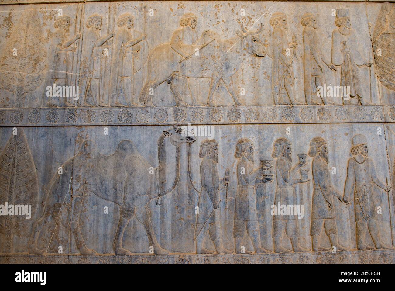 Shiraz - Iran. 24 aprile 2017. Benvenuti a Persepolis. Una delle grandi meraviglie del mondo antico, Persepolis incarna non solo una grande architettura Foto Stock