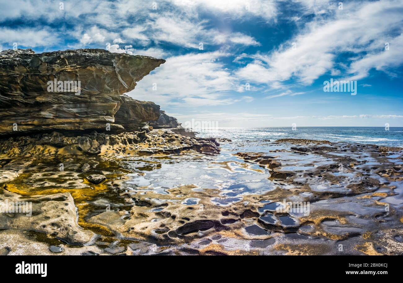 Costa rocciosa a Bond’s Lookout Maroubra Beach, Sydney, New South Wales, Australia Foto Stock