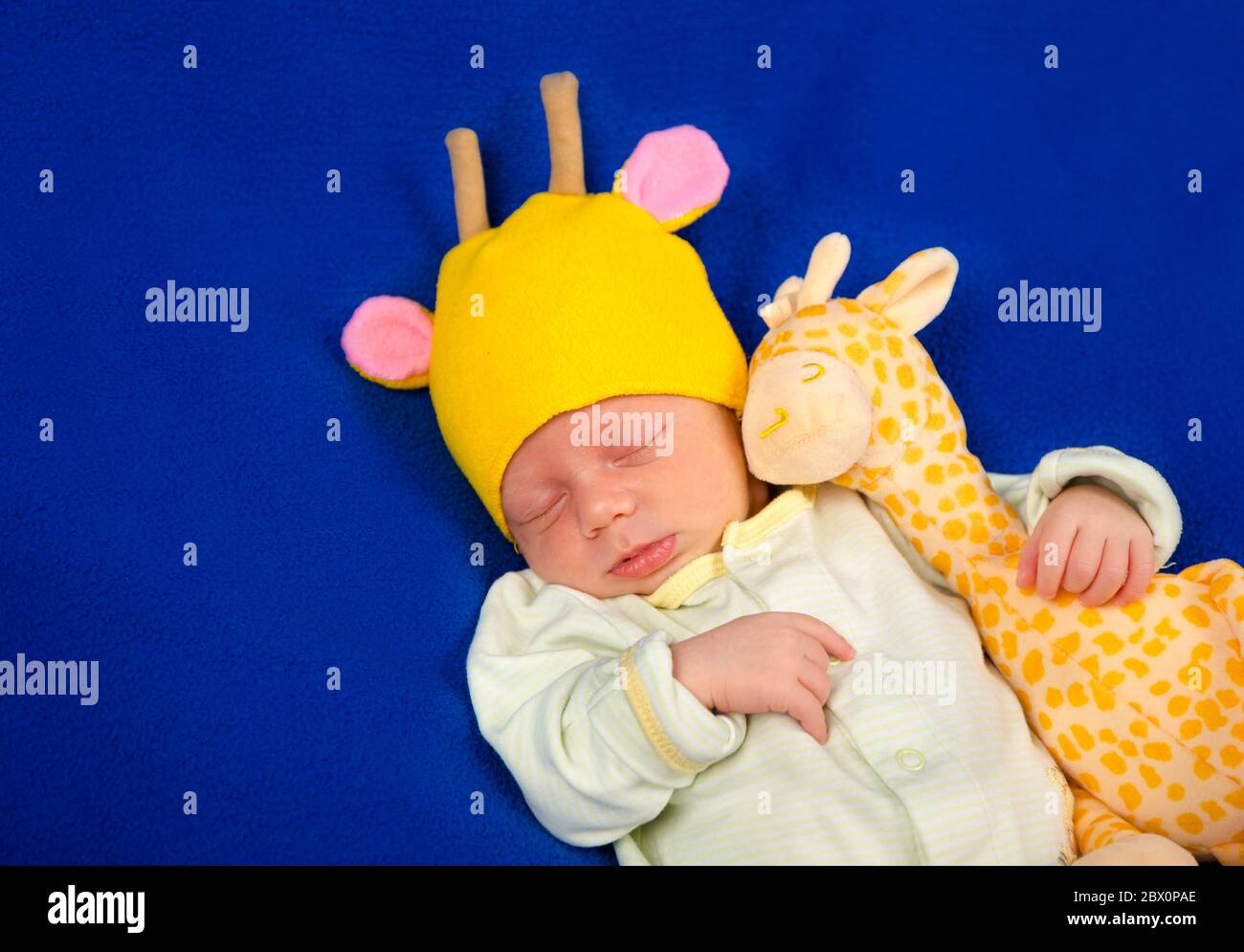 Neonato adagiato su una coperta blu con giraffa giocattolo. Ragazzo o ragazza Foto Stock