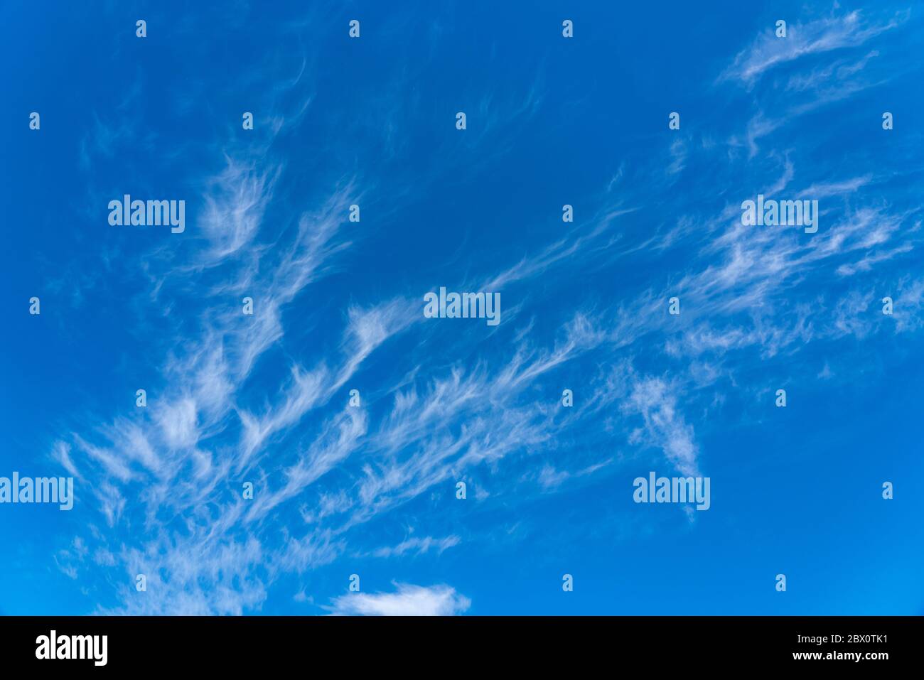 Cielo blu con nuvole di circo, nubi di ghiaccio filigrane ad alta quota, porti di tempo più caldo, Foto Stock