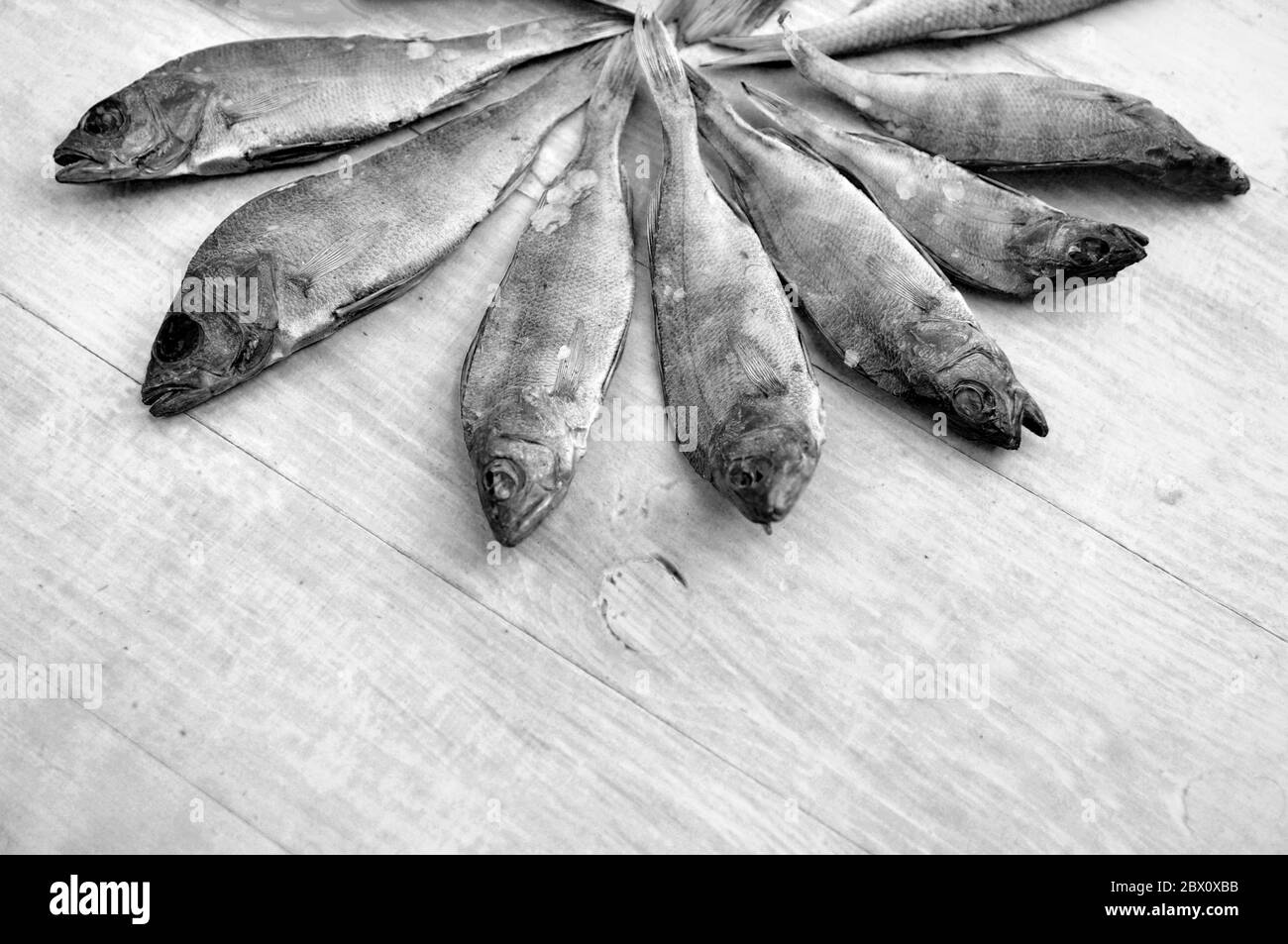 Fiancheggiata pesce secco modello su una superficie di legno. Tessuto di fondo del prodotto di pesce secco. Foto Stock