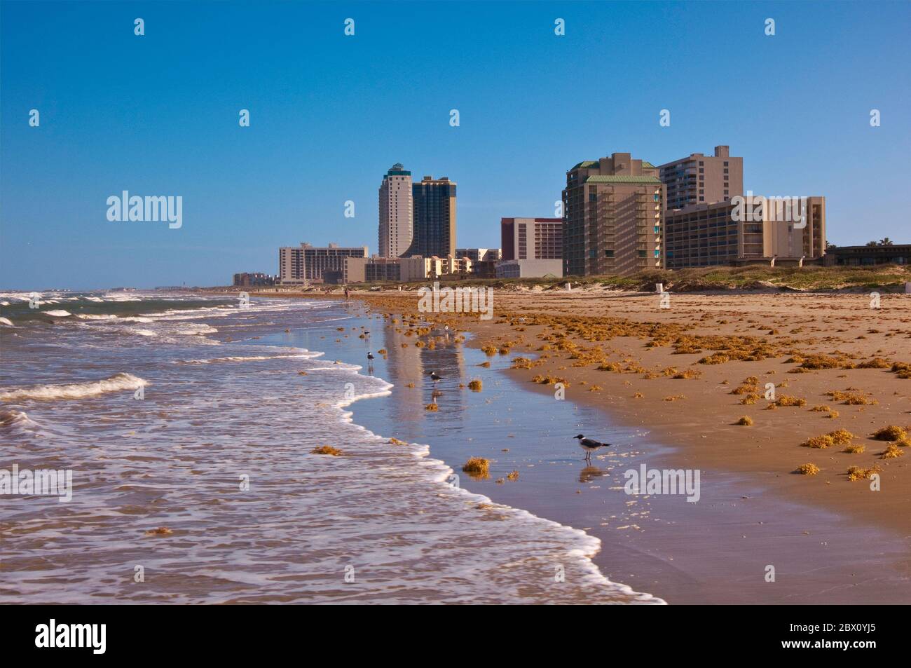 Il condominio e l'hotel si affacciano sulla spiaggia del Golfo del Messico a South Padre Island, Texas, USA Foto Stock