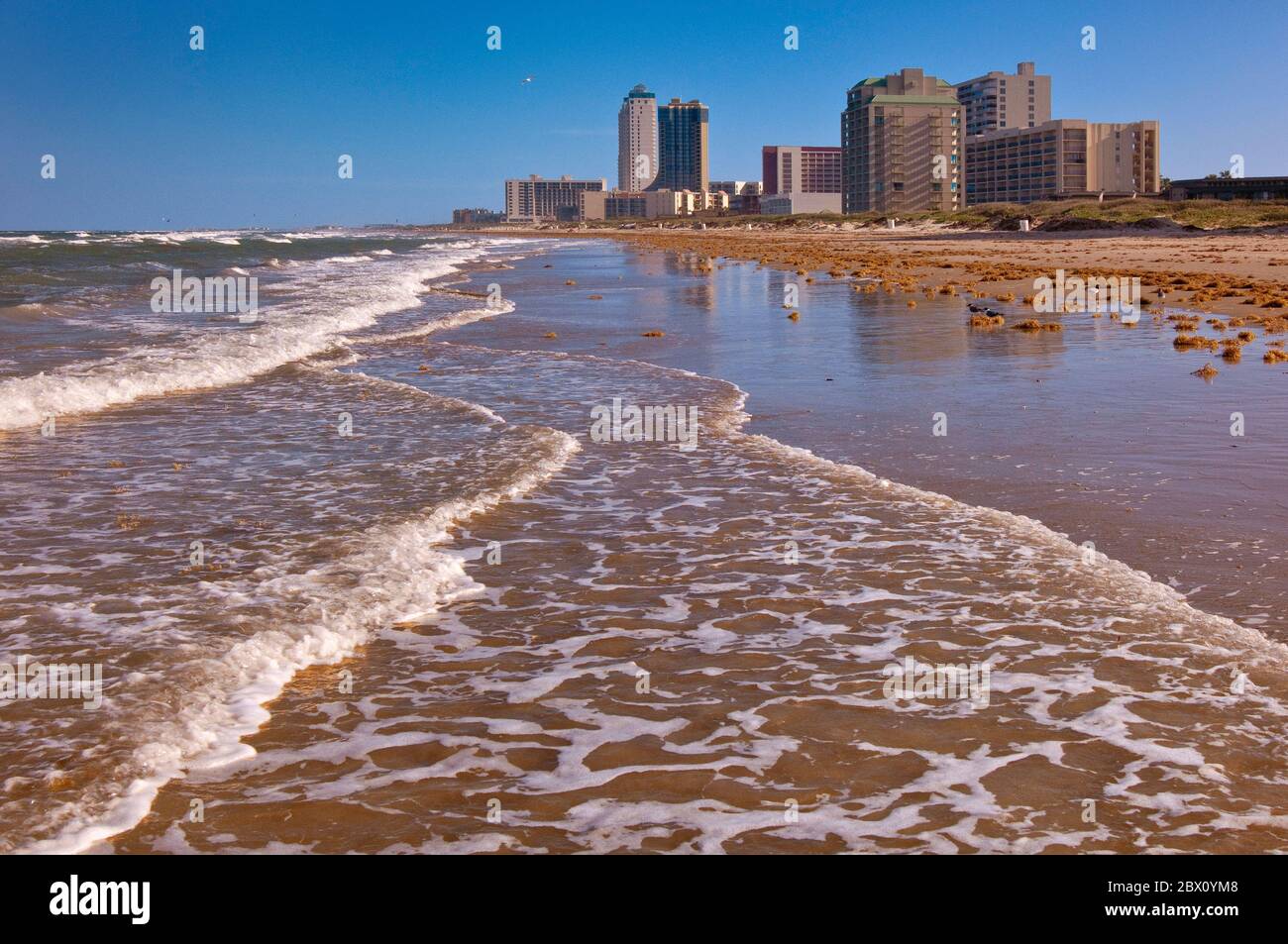 Il condominio e l'hotel si affacciano sulla spiaggia del Golfo del Messico a South Padre Island, Texas, USA Foto Stock