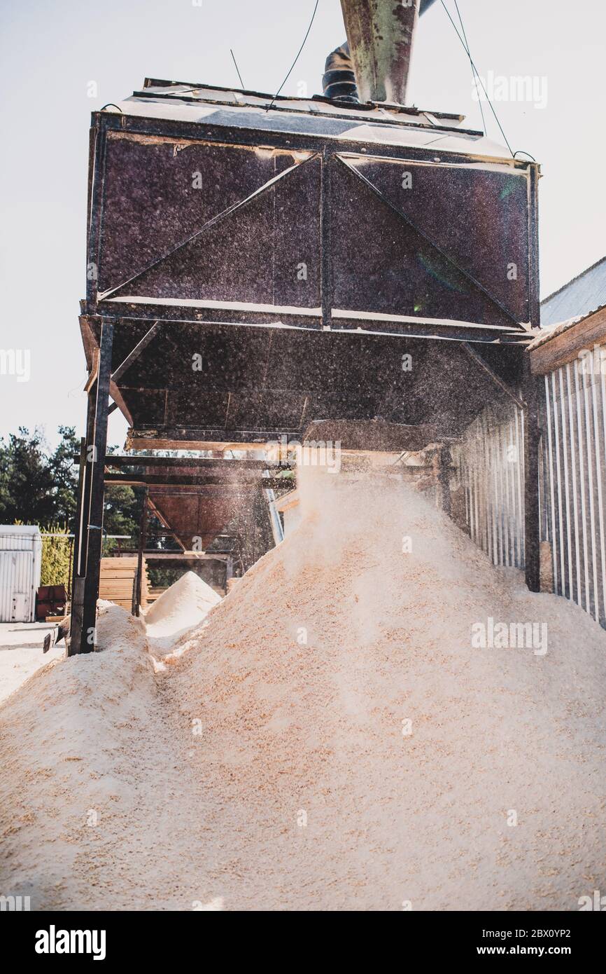 Scarico industriale della segatura dalla macchina - scarico della segatura all'esterno - segheria - produzione di legname laminato incollato Foto Stock