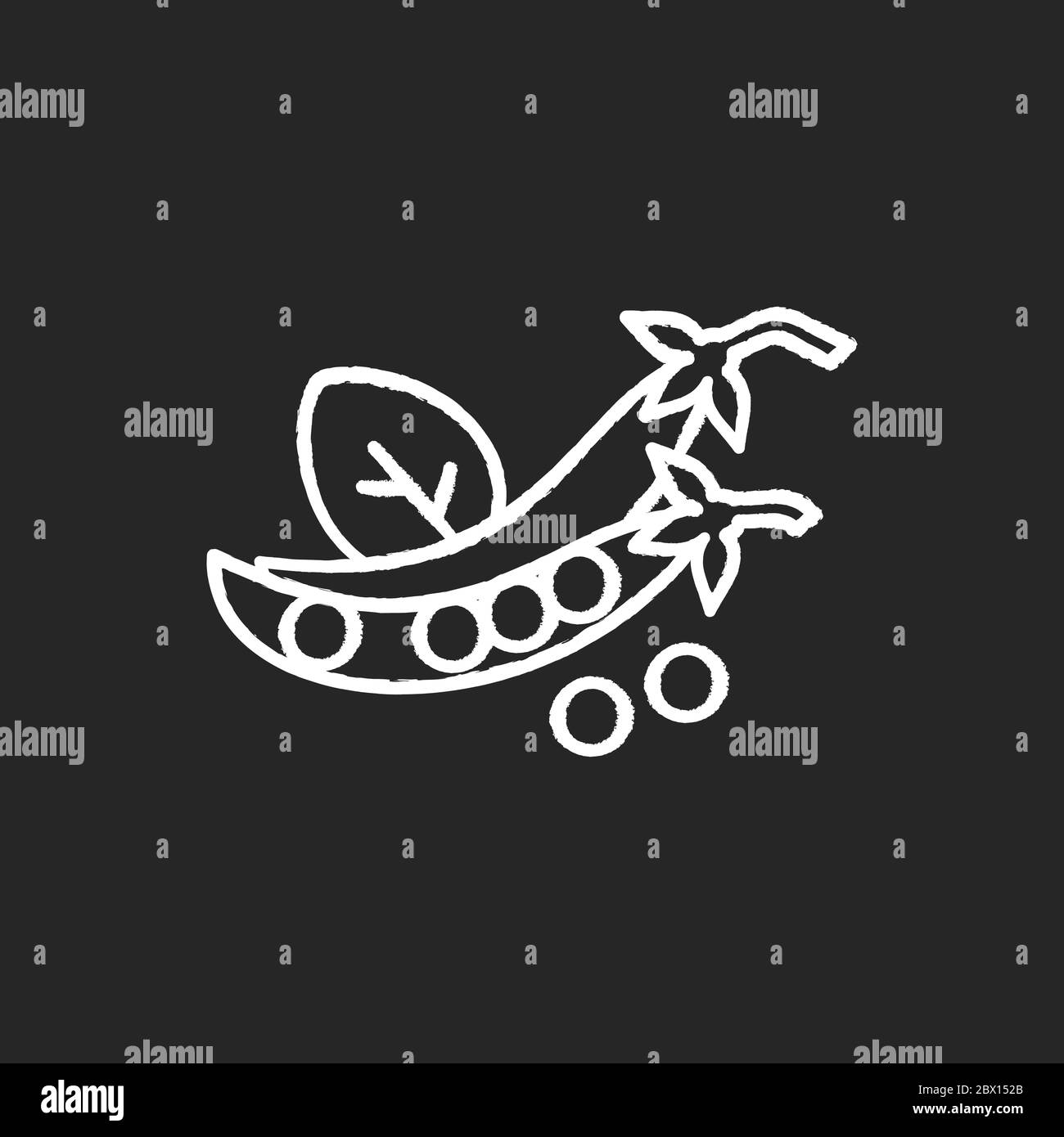 Piselli gesso bianco icona su sfondo nero. Verdure fresche per preparare il pasto. Cibo per cucinare. Semi di fagioli per uno spuntino sano. Veggie nutriente in ste aperto Illustrazione Vettoriale