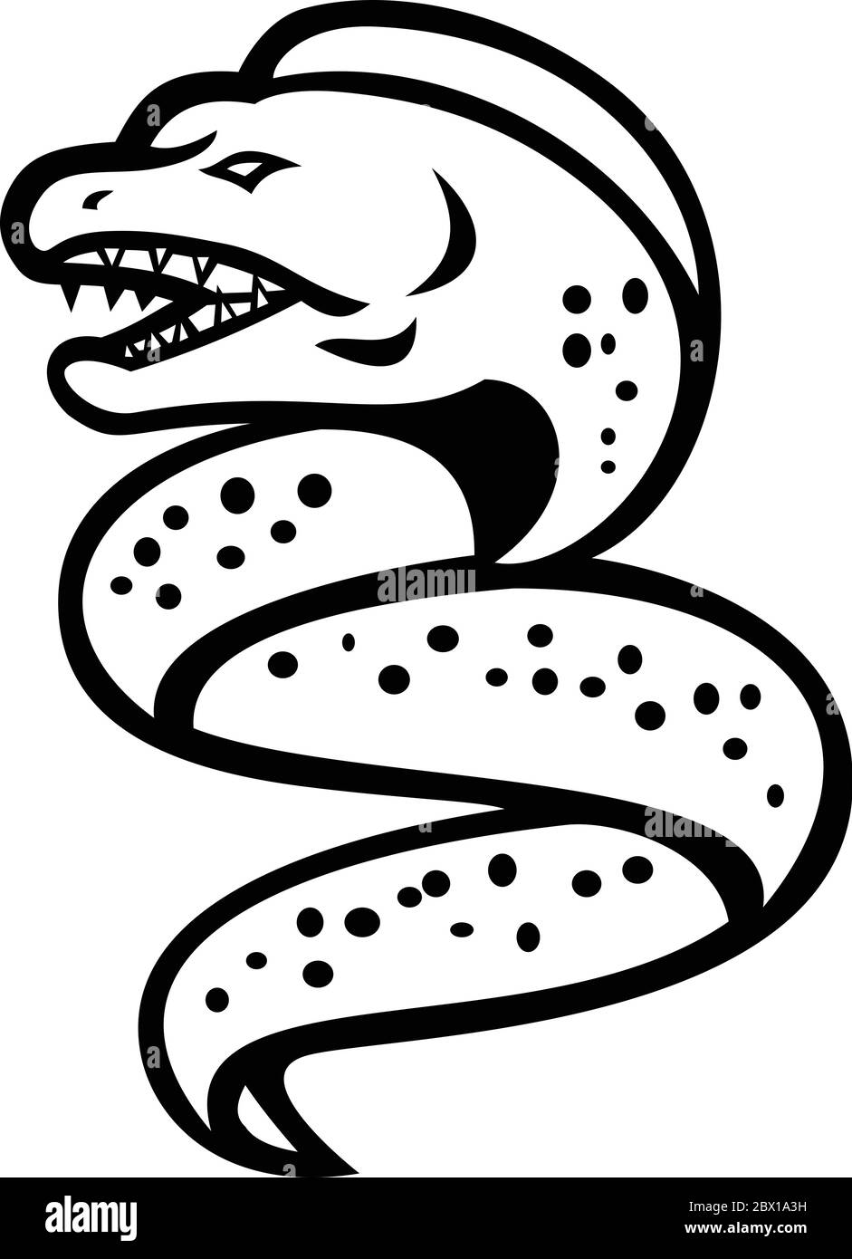 Icona Mascot illustrazione di un anguilla o muraenidi arrabbiato con mascella faringea che sale vista da un lato su sfondo isolato in nero retrò e W. Illustrazione Vettoriale