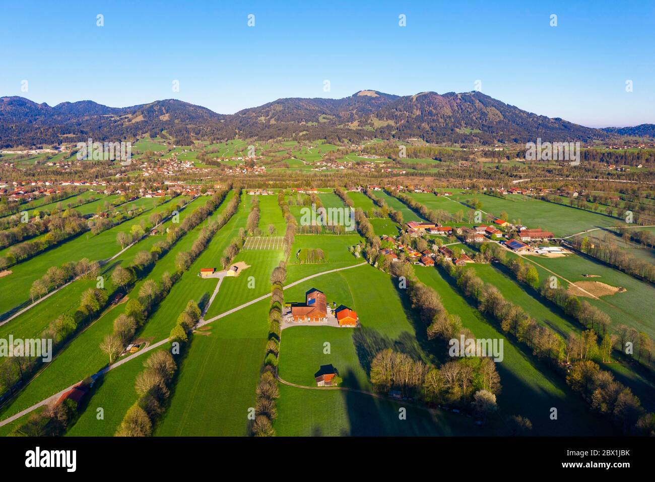 Paesaggio siepe nella valle Isar vicino a Gaissach, sullo sfondo cime Zwiesel e Blomberg, Isarwinkel, colpo di drone, alta Baviera Foto Stock