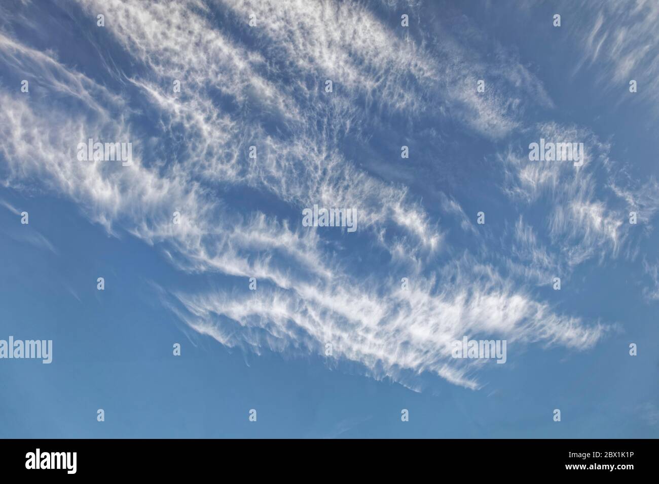 Nuvole di cirrus, cirostracus, nuvole di piuma, nuvole di velo, cielo blu, Franconia, Baviera, Germania Foto Stock