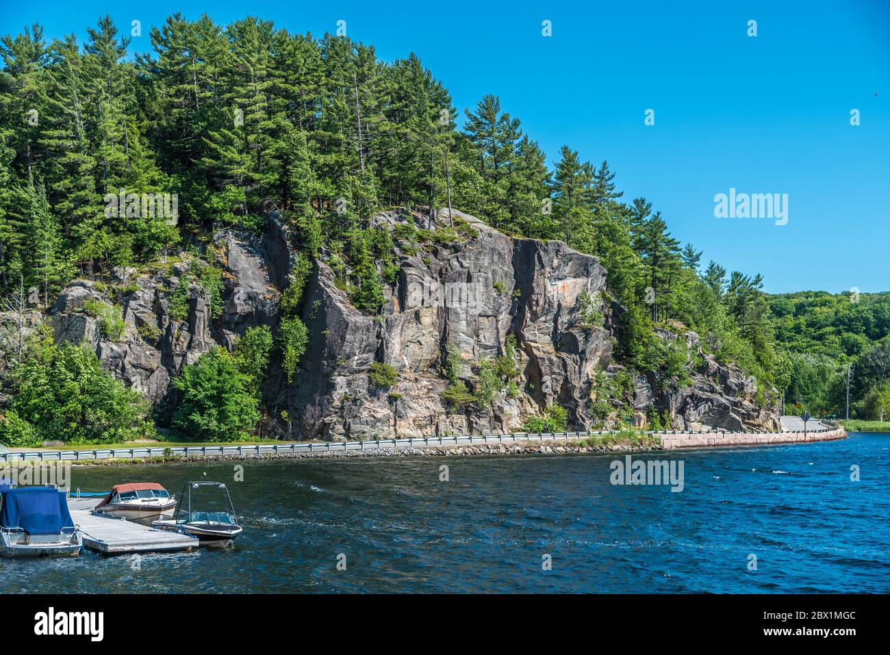 Lago di foresta in estate. Muskoka. Canada Foto Stock