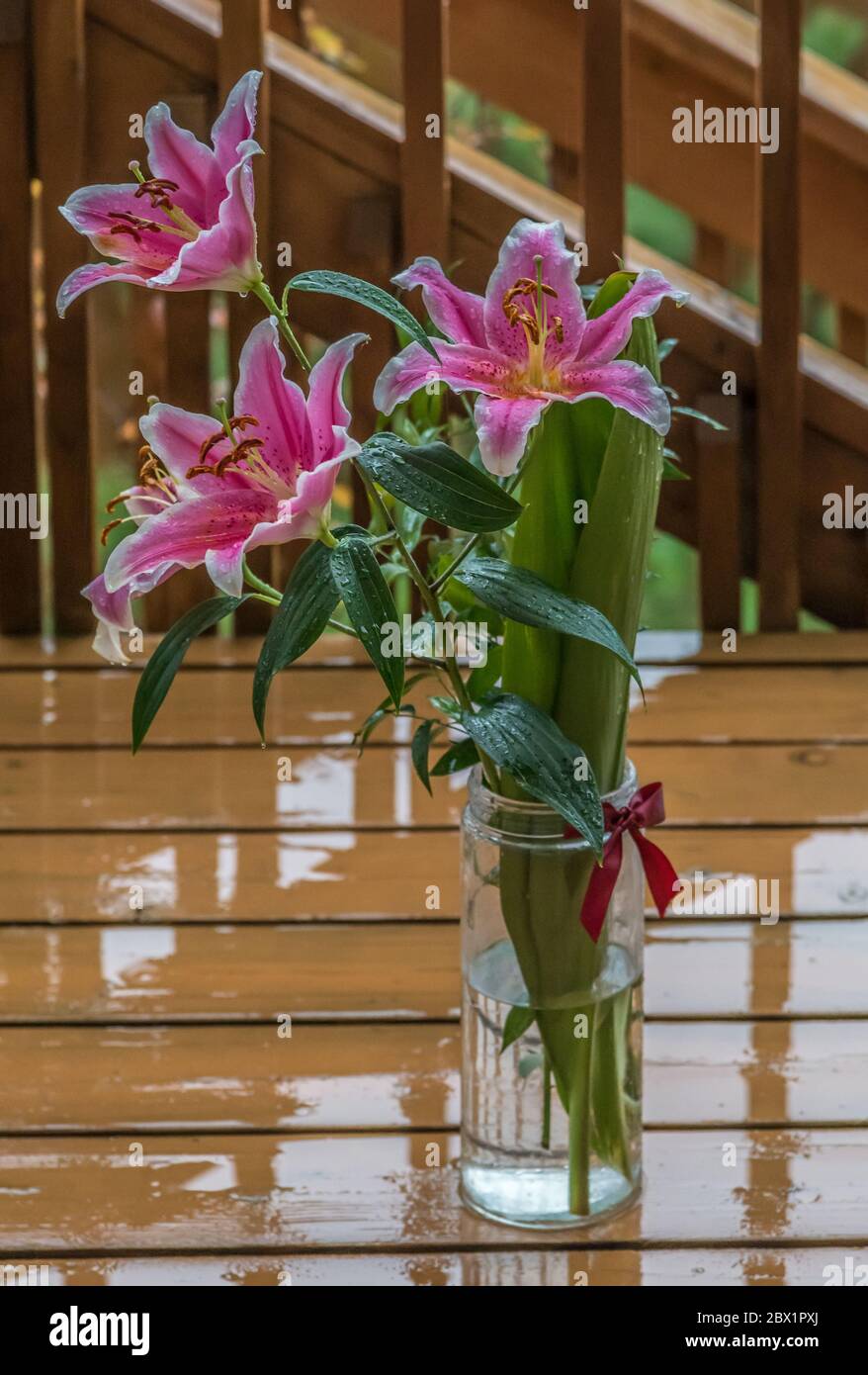 Rosa delicato daylily dopo una pioggia sul ponte di legno. Foto Stock